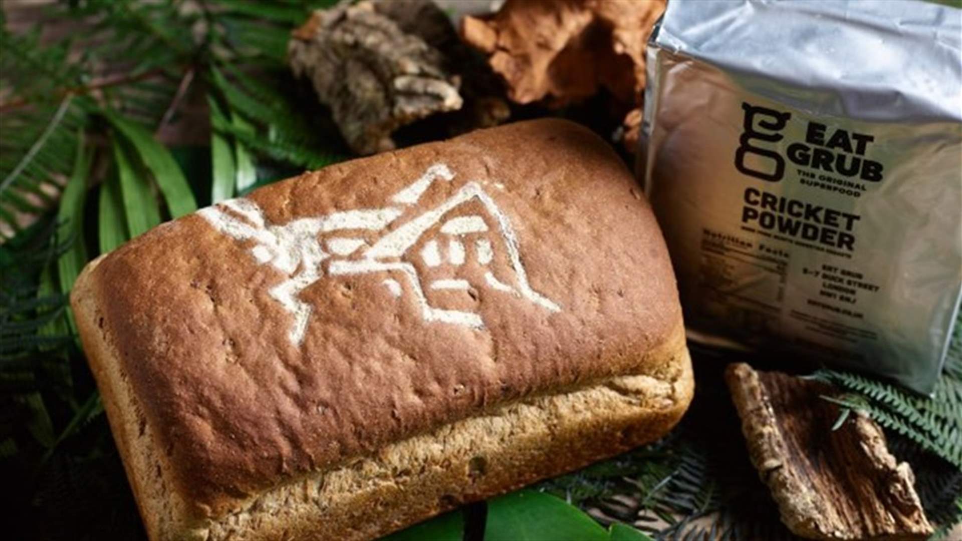 مخبزٌ جديدٌ لصنع الخبز من الصراصير في بريطانيا... ما أبرز فوائده؟