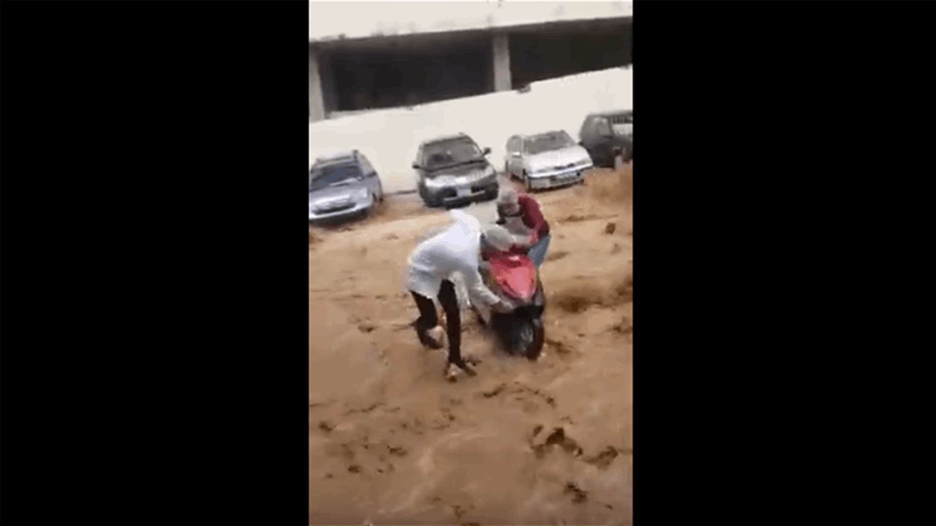 سيول جراء الامطار في الناعمة (فيديو)