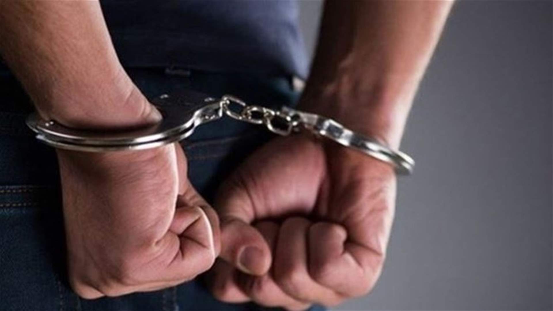 توقيف شخص أقدم على سرقة محصولَي زيتون وصنوبر في عبرا...