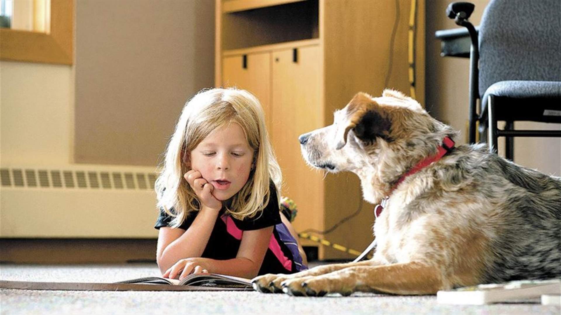 إلى الأهل... دراسة تؤكد أن وجود كلب في المنزل يساعد أطفالكم على الدراسة