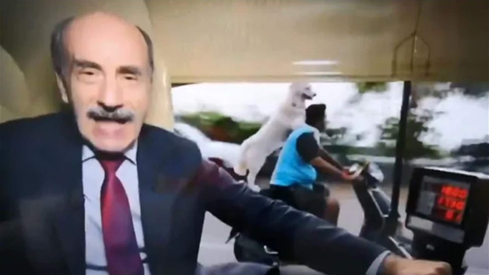 كلب يخطف الأضواء من صحافي على الـBBC... لحظة تلفزيونية طريفة (فيديو)