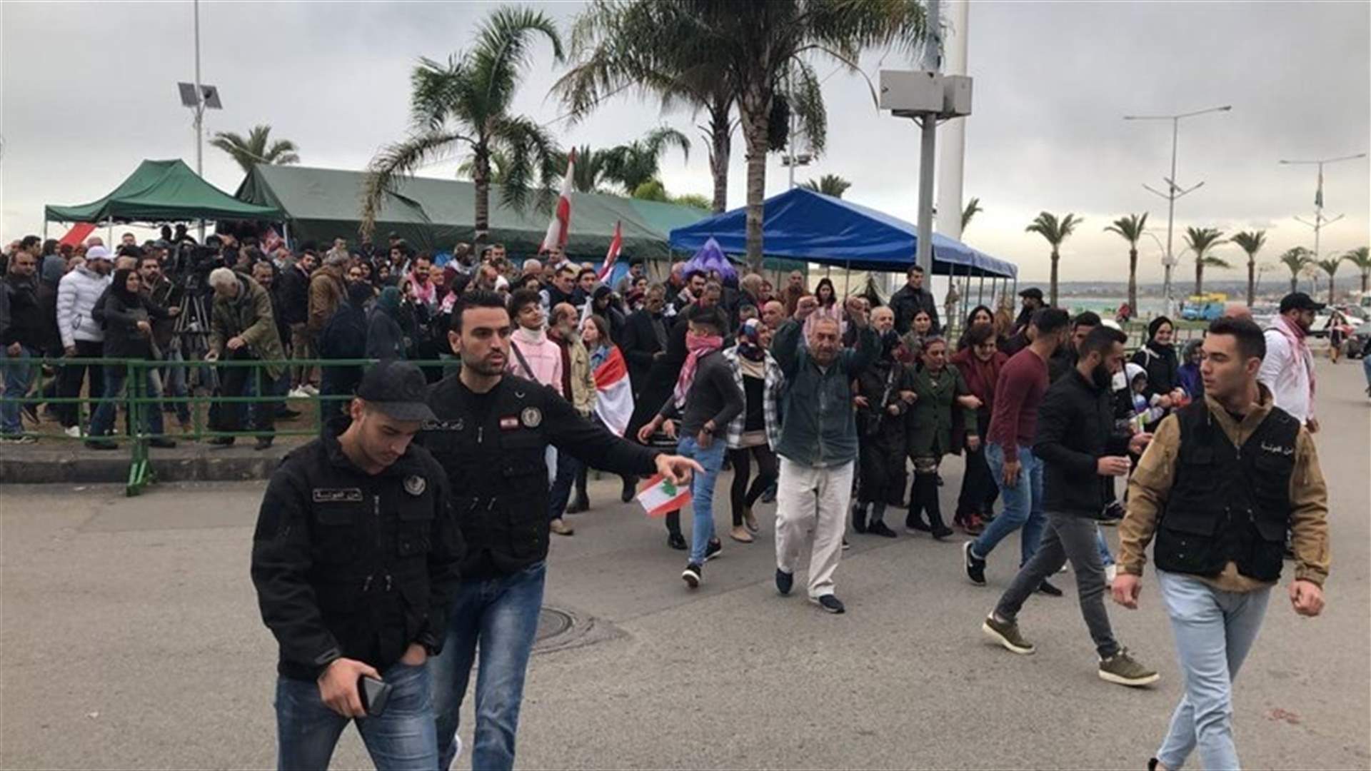 Protesters stage rally in Tyre (Video)