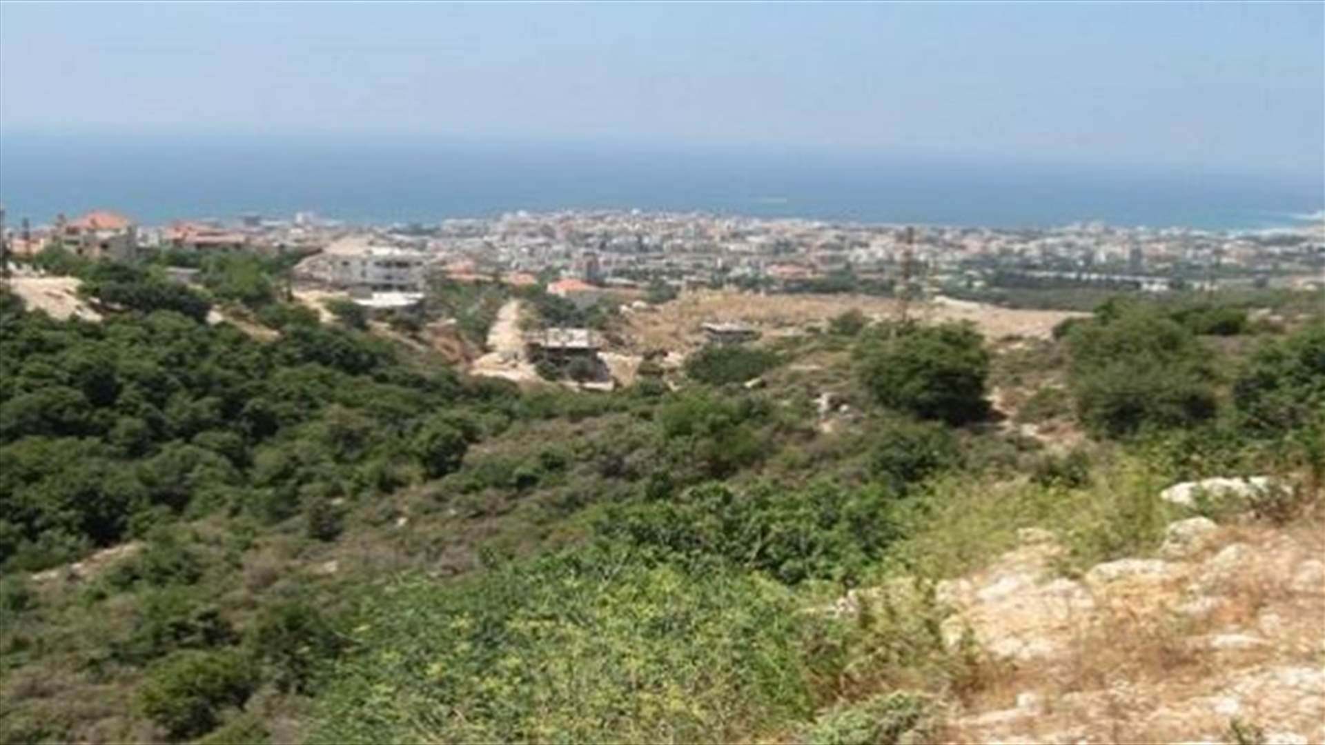 قرار باقفال معاصر الزيتون في كفور العربي ودوما موقتا...