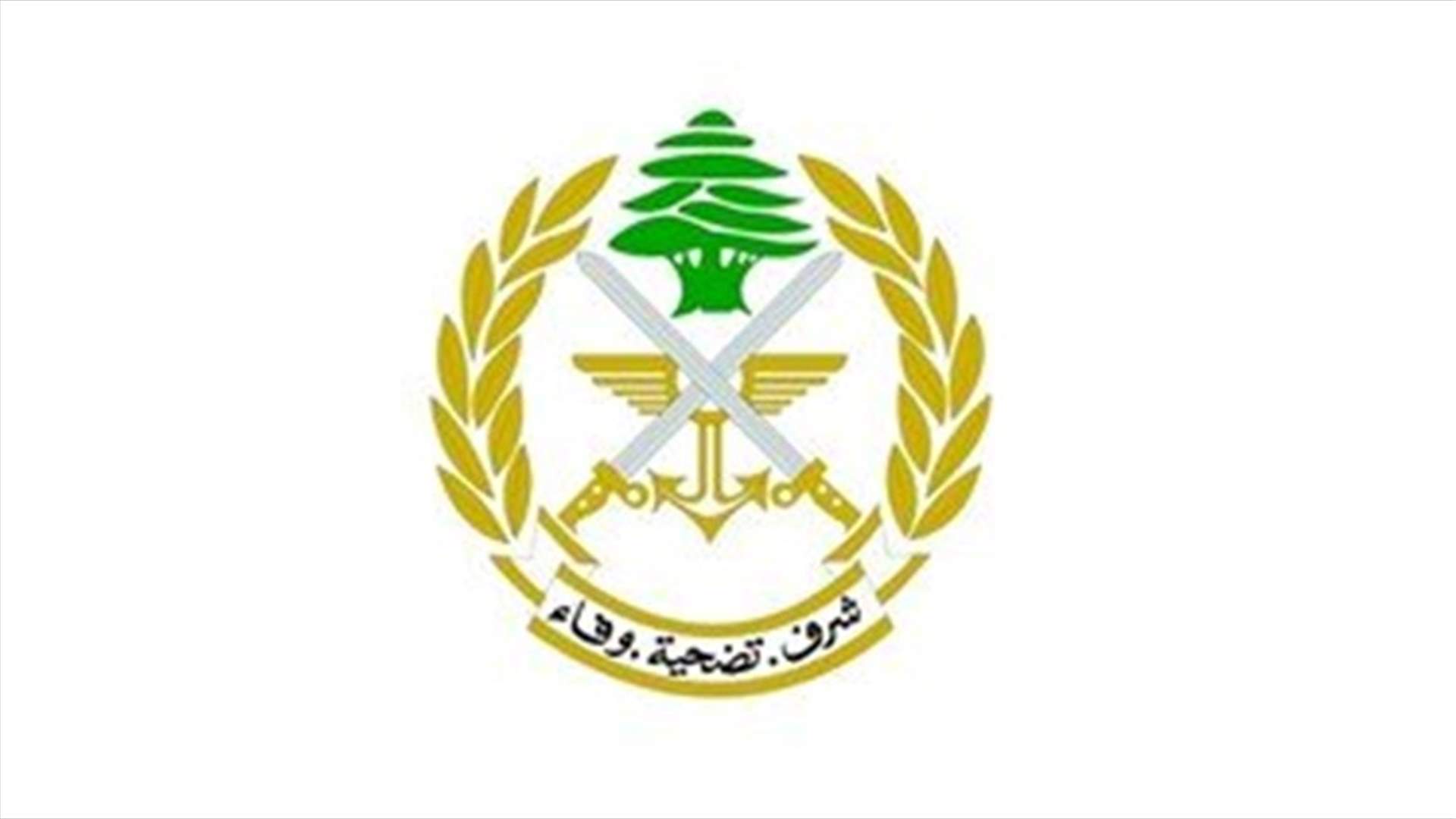 جولة ميدانية لمدير العمليات في الجيش في بيروت ومحيطها
