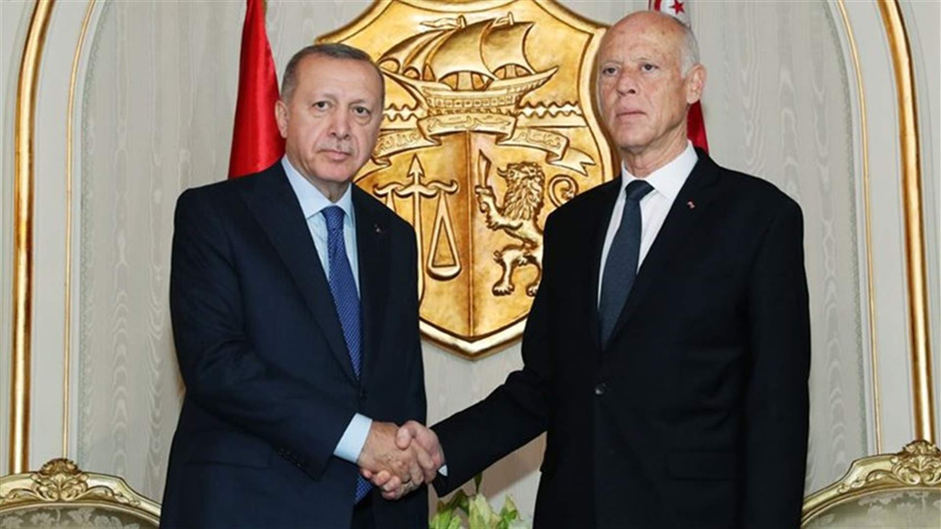 أردوغان: بحثت مع الرئيس التونسي وقف إطلاق النار في ليبيا