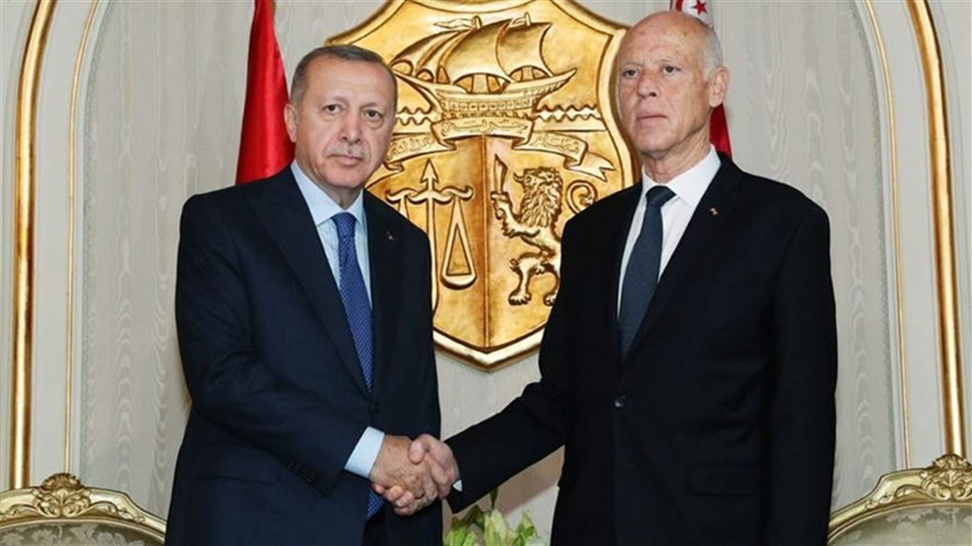 Turkey's Erdogan says discussed Libya ceasefire with Tunisian president