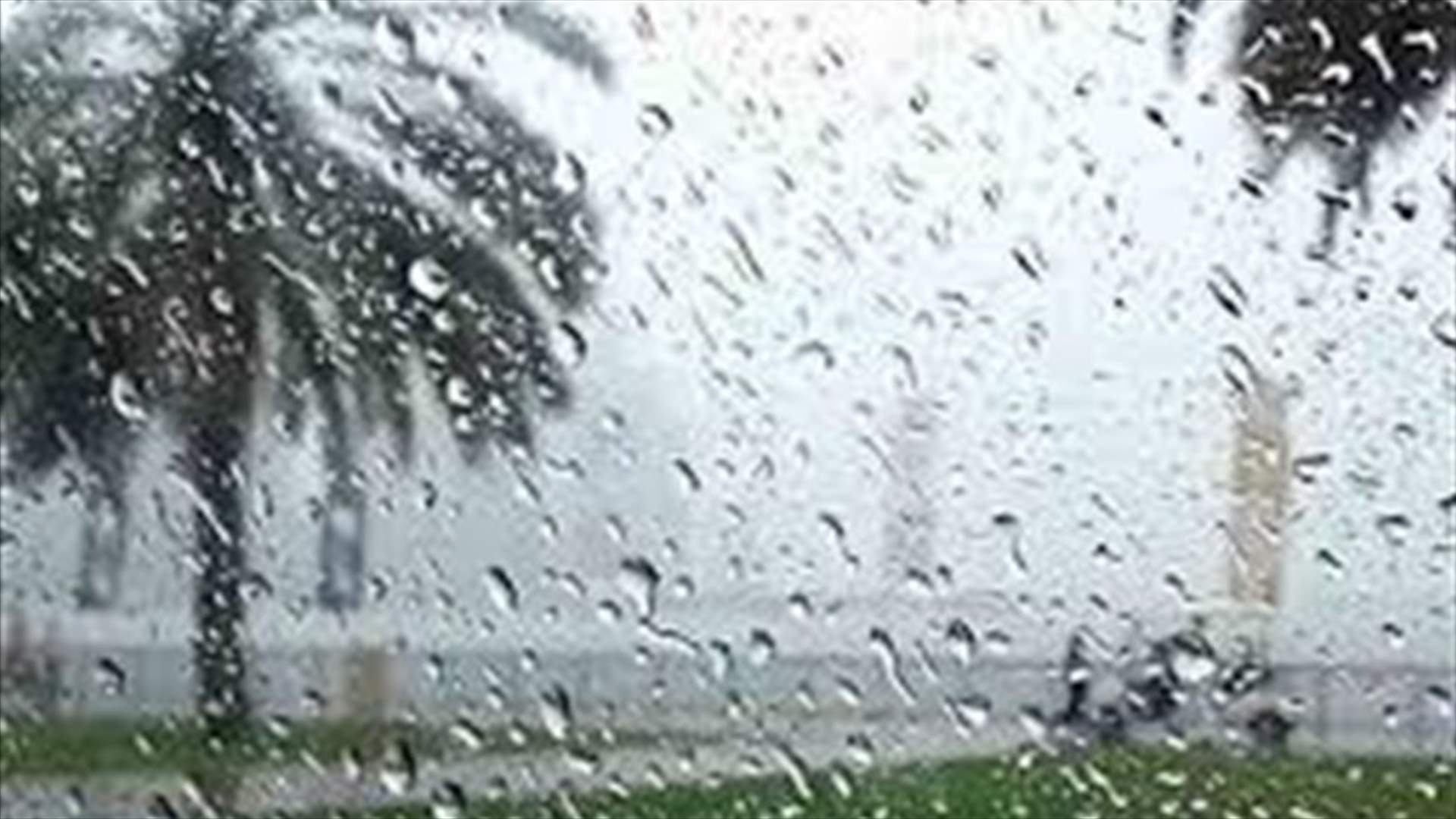 الطقس العاصف في النبطية وإقليم التفاح أدى إلى اقتلاع أشجار وسيول وفيضان الليطاني