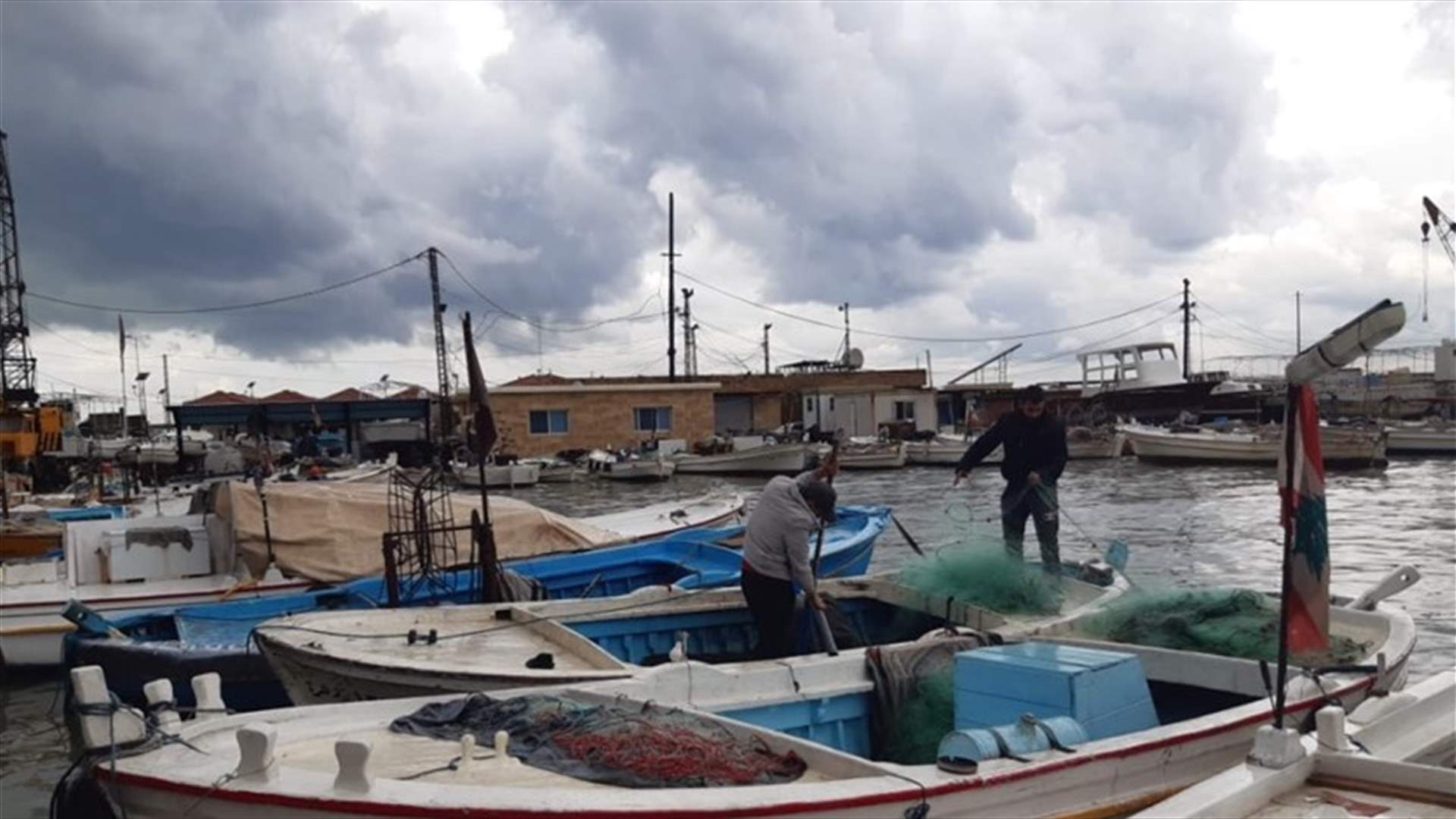 صيادو الأسماك في صيدا عاودوا نشاطهم عصرا (صورة)