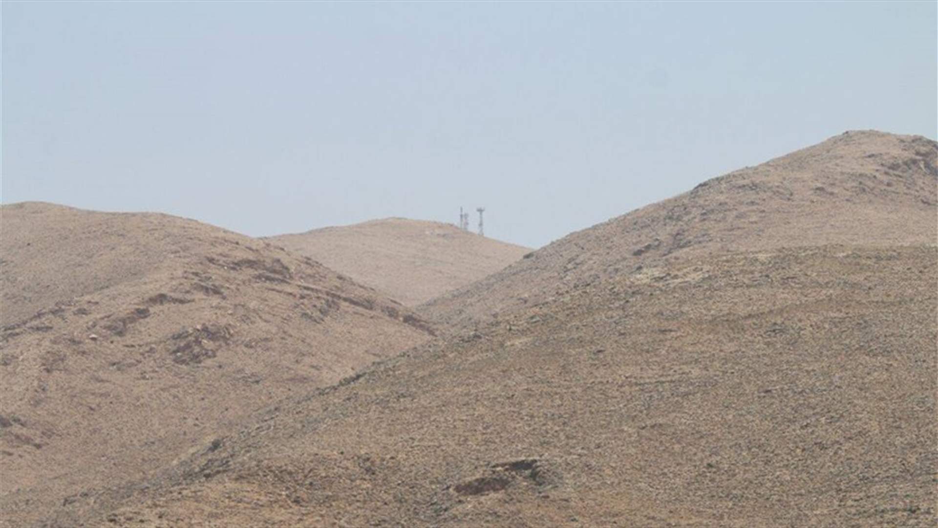 دبٌ في جرود عرسال... وفيديو يظهر تجوّله على الطريق وبين الاشجار