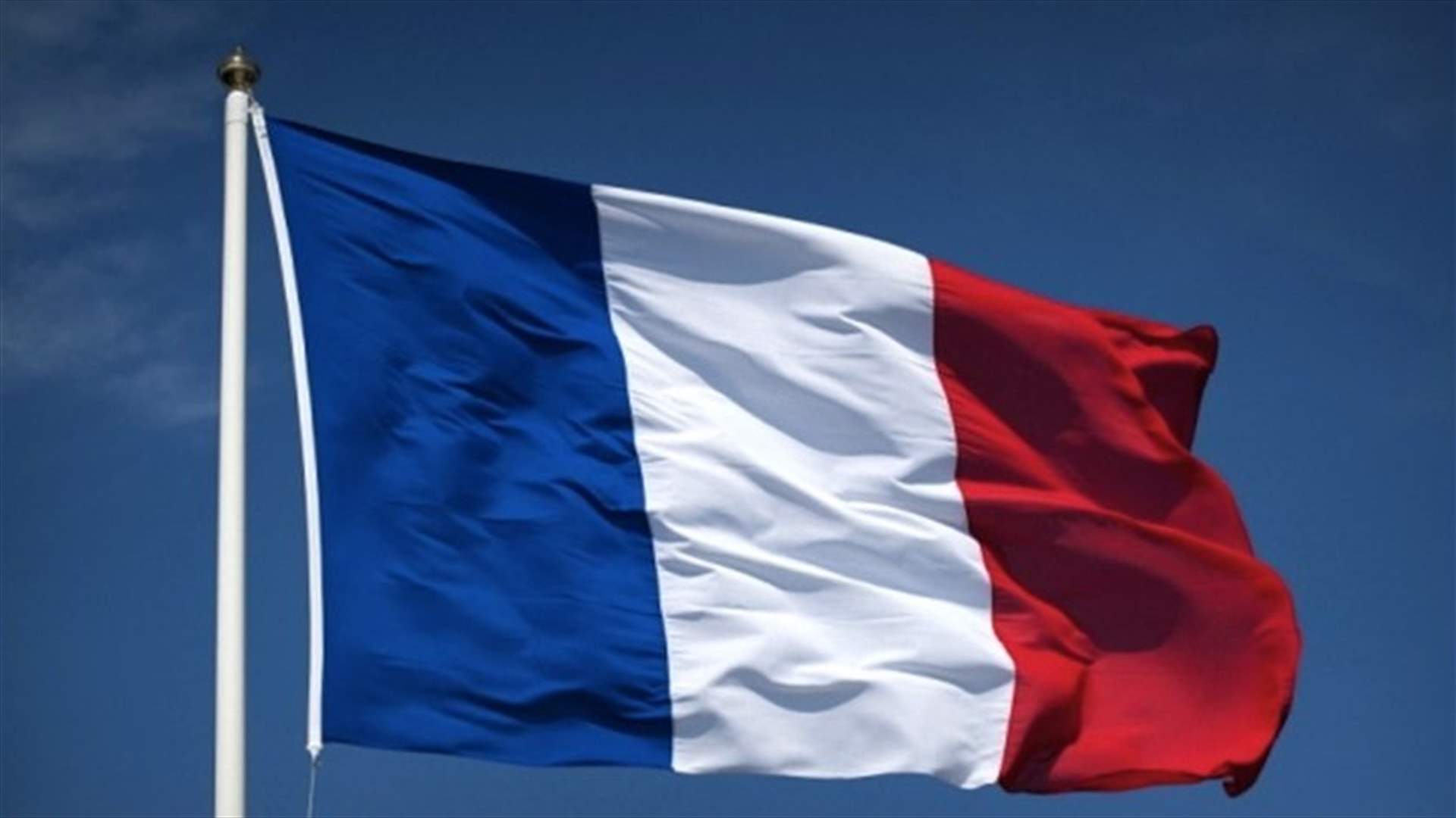 France will not hand over Carlos Ghosn in case he entered French territories ​