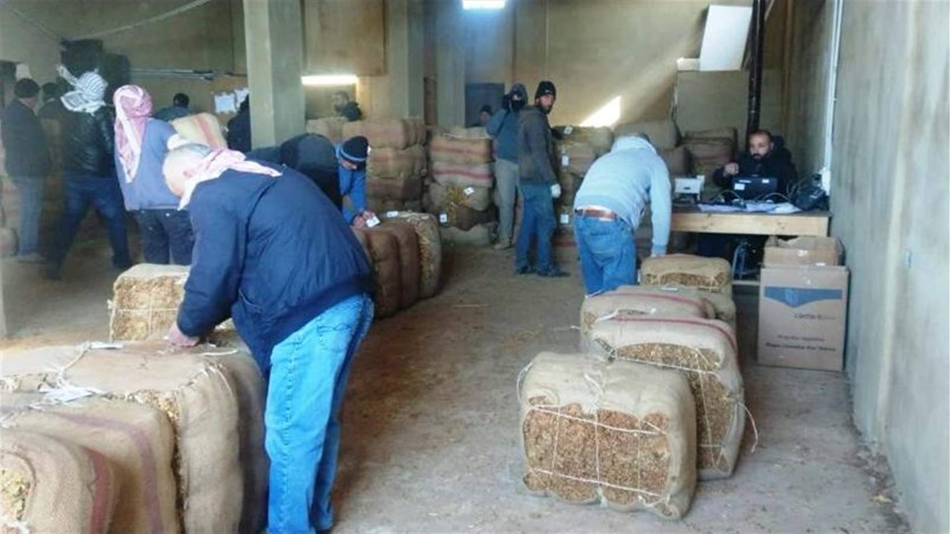 الريجي بدأت باستلام محاصيل التبغ في بعلبك