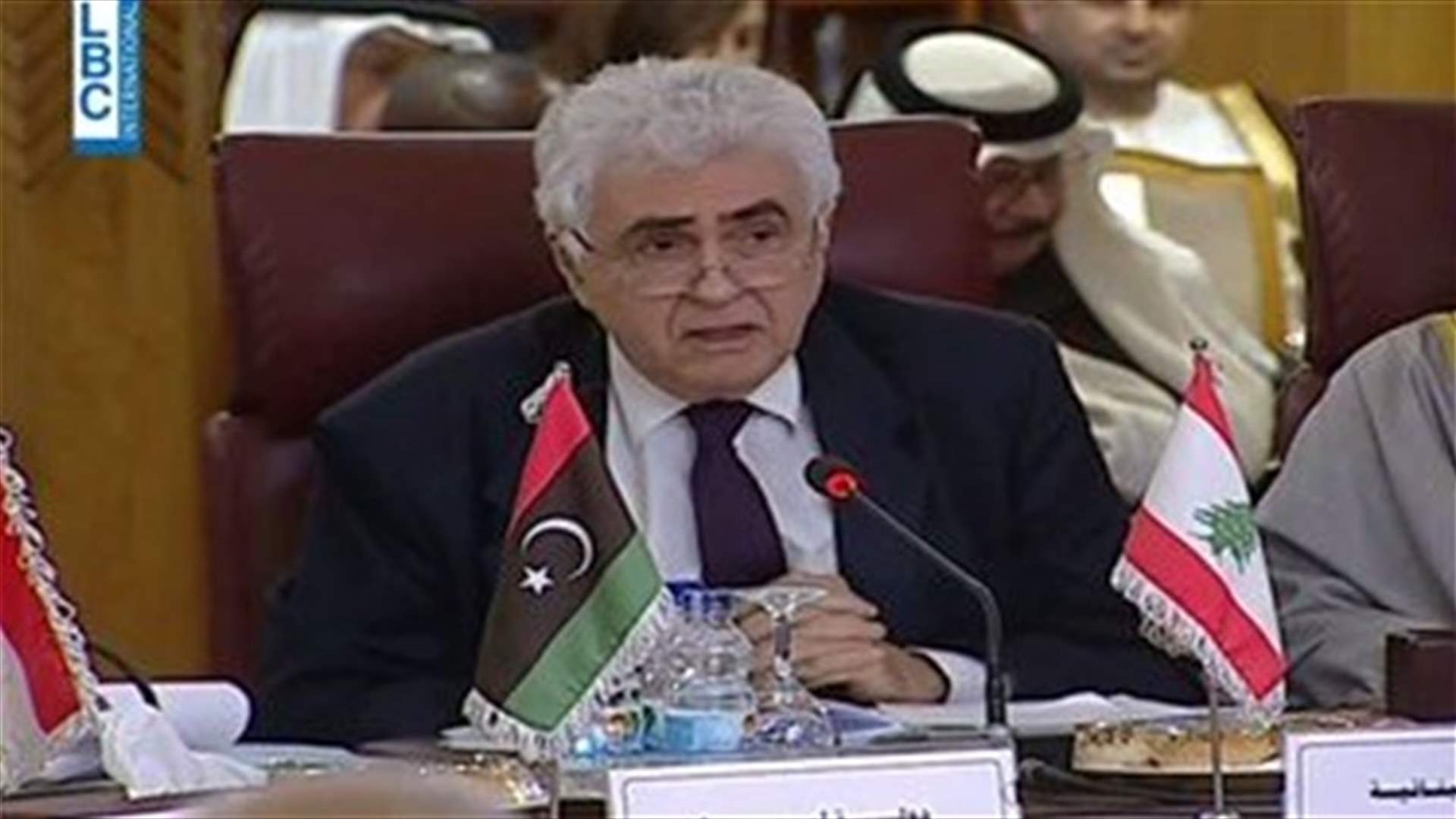 Hitti: Arab countries are asked to provide all support to Palestinian stance