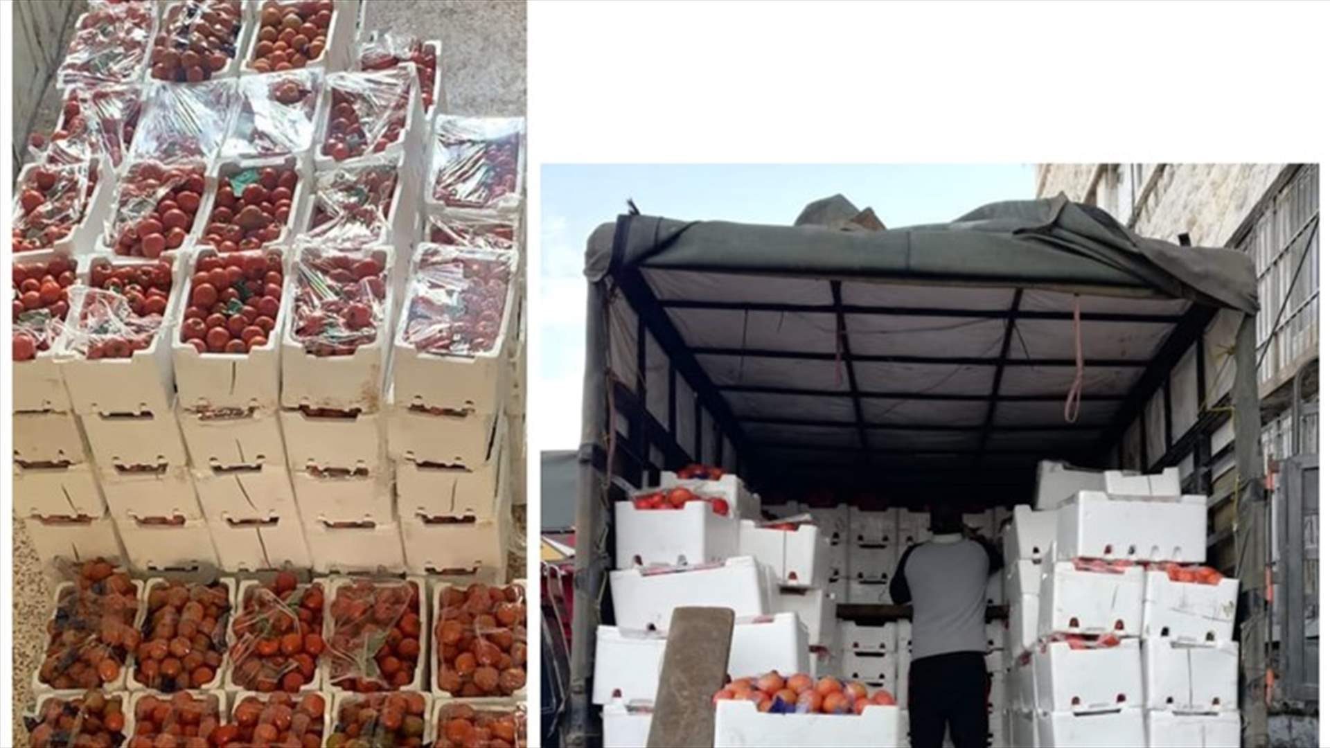 توقيف شاحنة محملة بكمية من شرحات البندورة السورية المهربة (صورة)