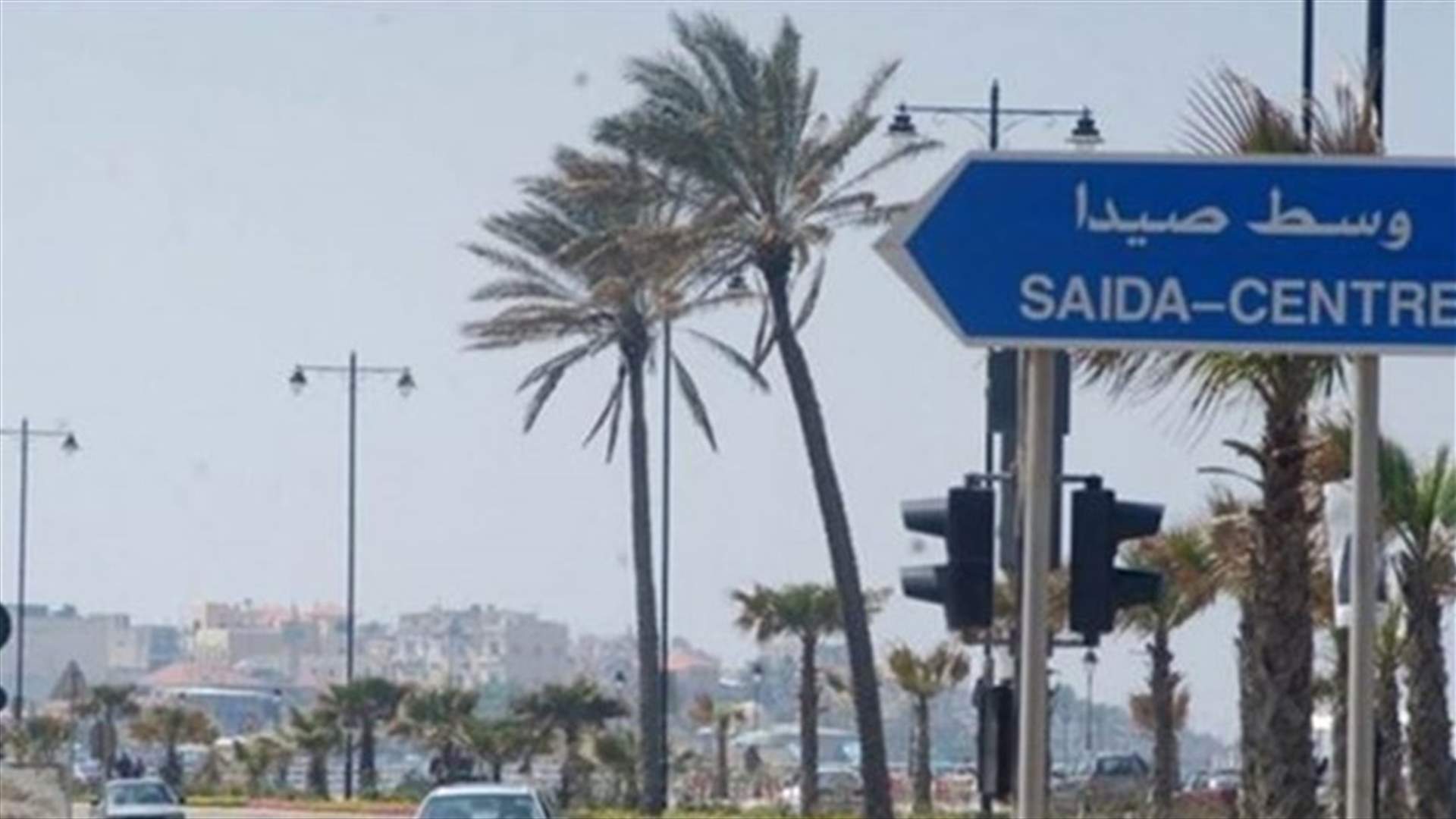 ضابطة صيدا توقف &quot;فانا&quot; محملا بمواد تنظيف مهربة