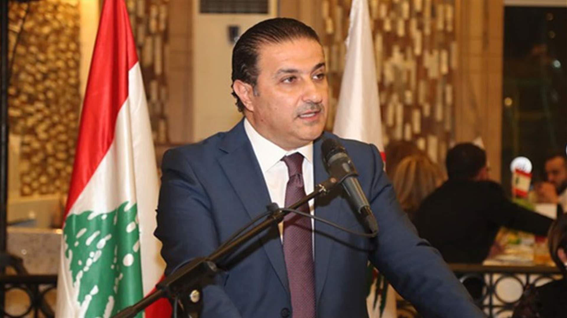 فادي سعد: نشارك في جلسة الثقة لحمل صوت الثورة وتأكيد موقفنا