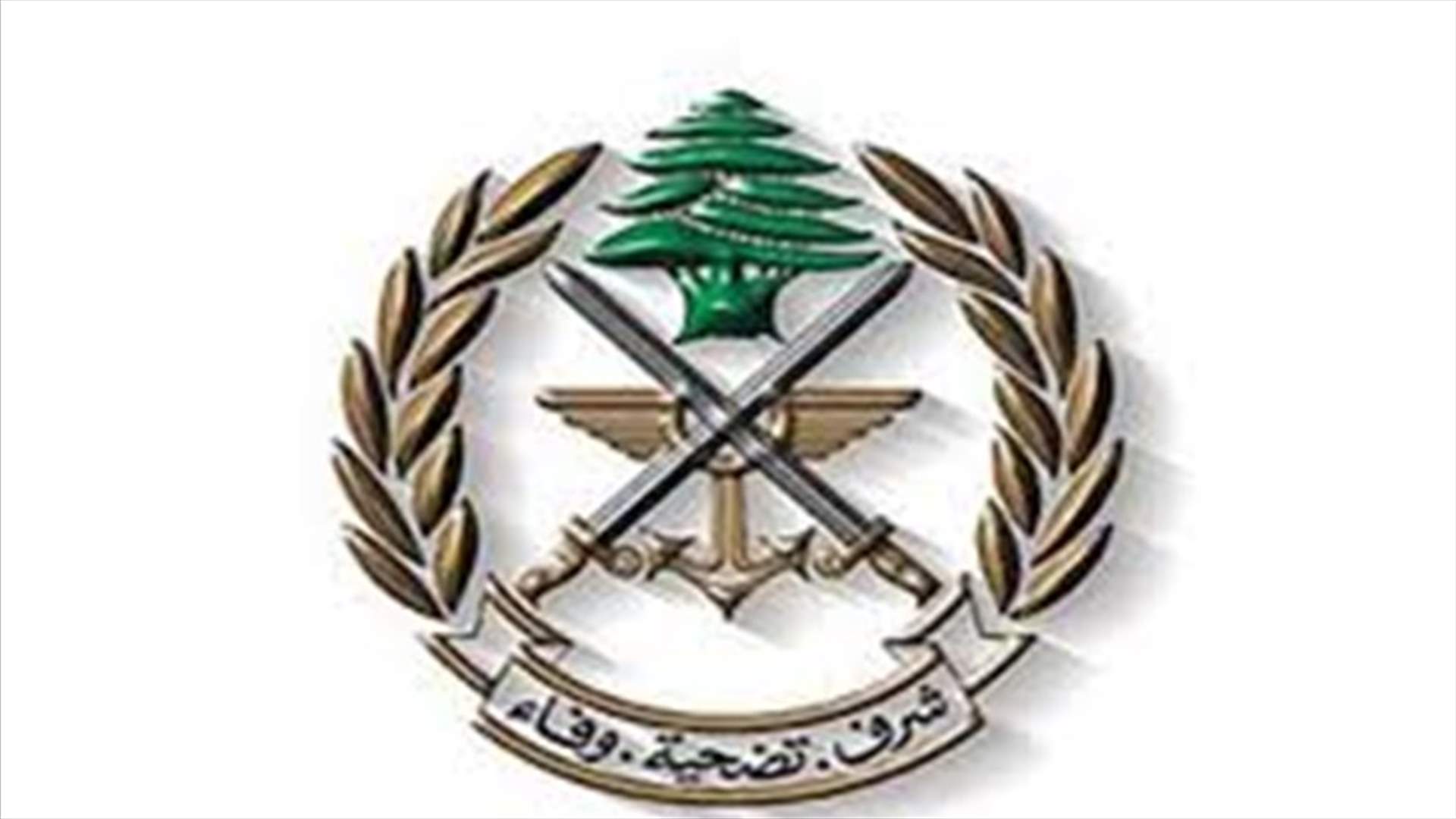 الجيش: المحافظة على سلمية التحرك ضرورة لحماية الجميع