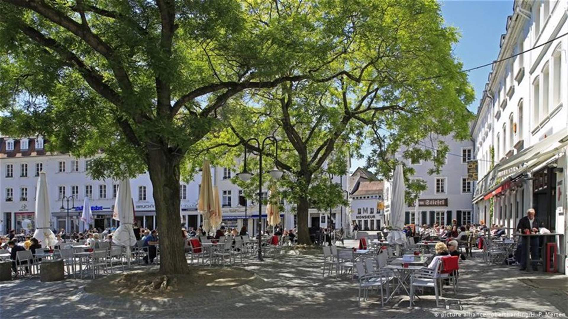 Trees alone can't win fight against soaring heat, cities warned