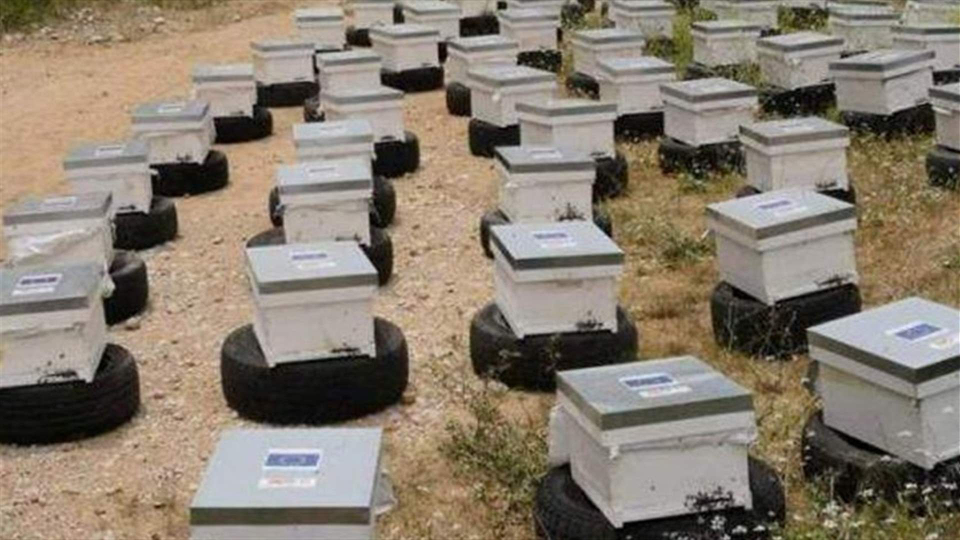 سرقة 30 قفير نحل في بلدة الجرمق