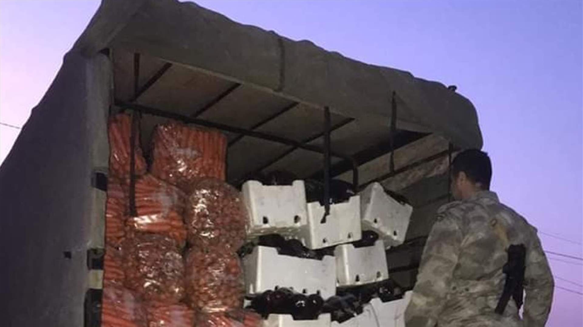 ضبط شاحنة محملة بخضار مهربة من سوريا في الخردلي