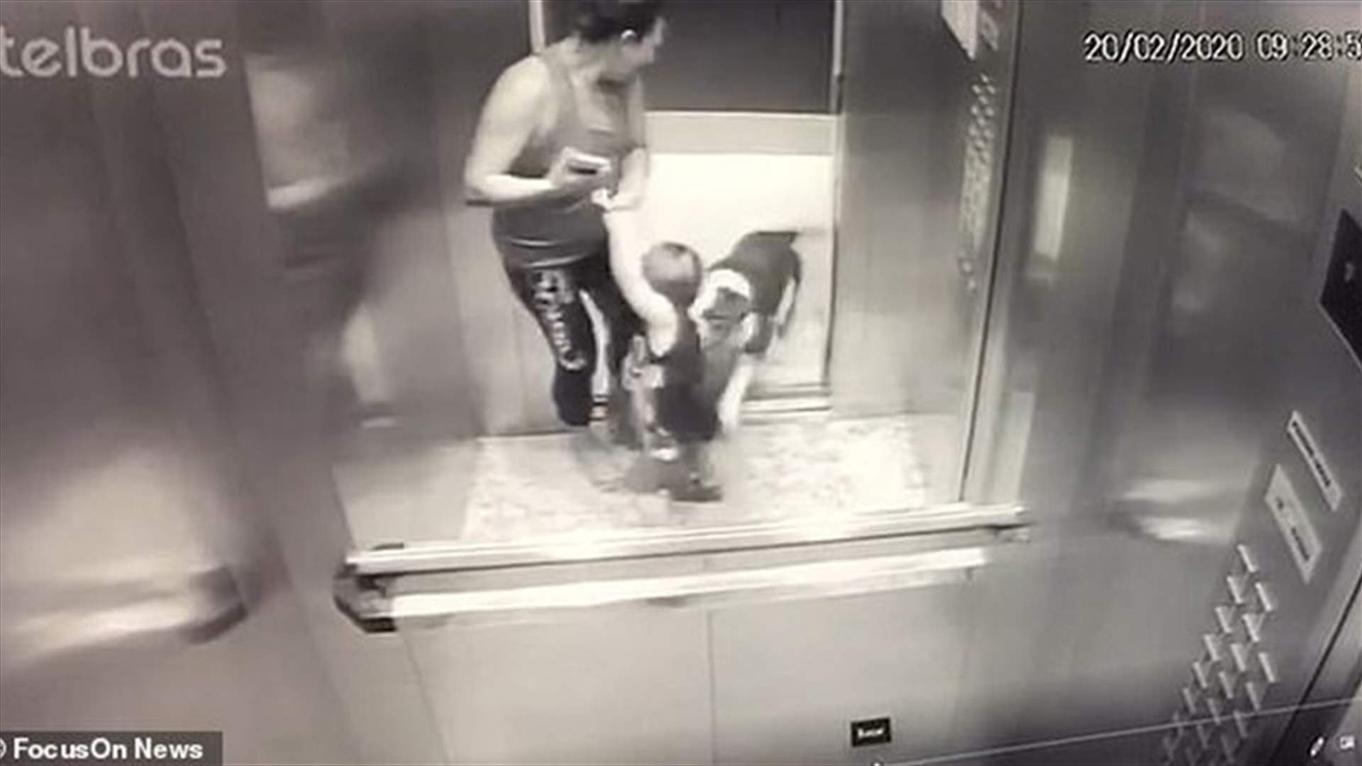لحظات رعب وهلع داخل مصعد... كلب شرس ينقض على طفل (فيديو)