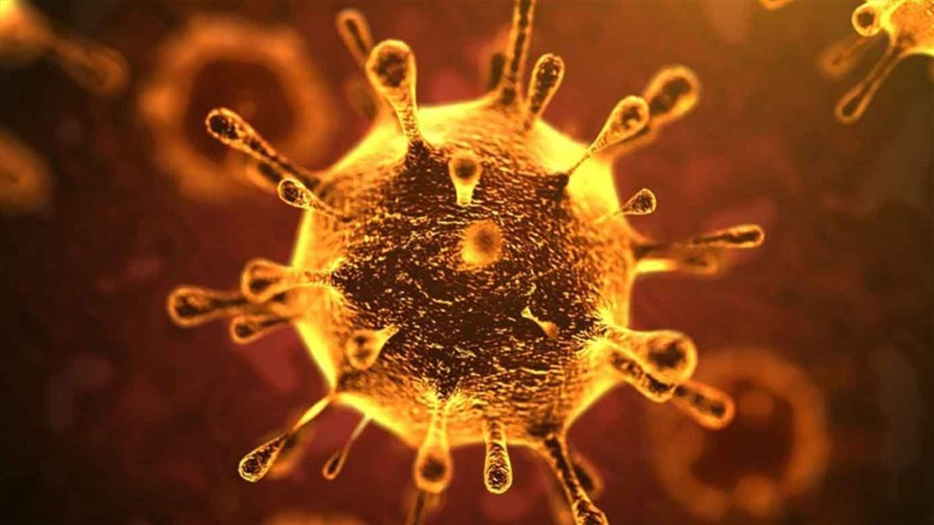 New coronavirus case confirmed in Lebanon