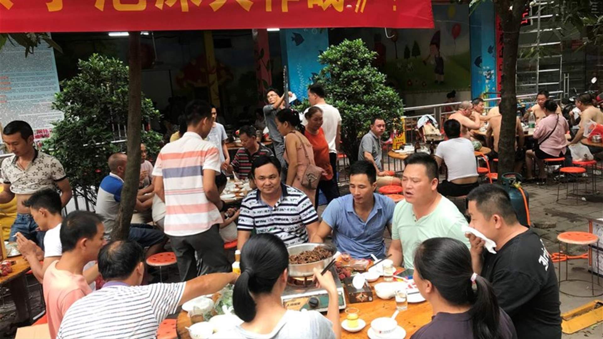 Shenzhen prepares ban on eating cats and dogs after outbreak
