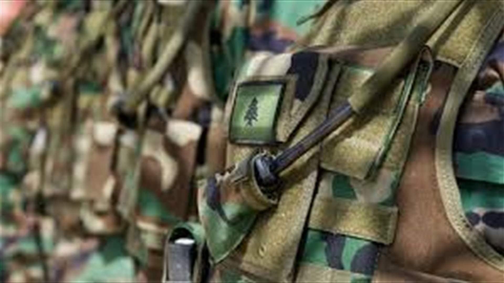 إشكال فردي وإطلاق نار في الجية... والجيش يتدخل