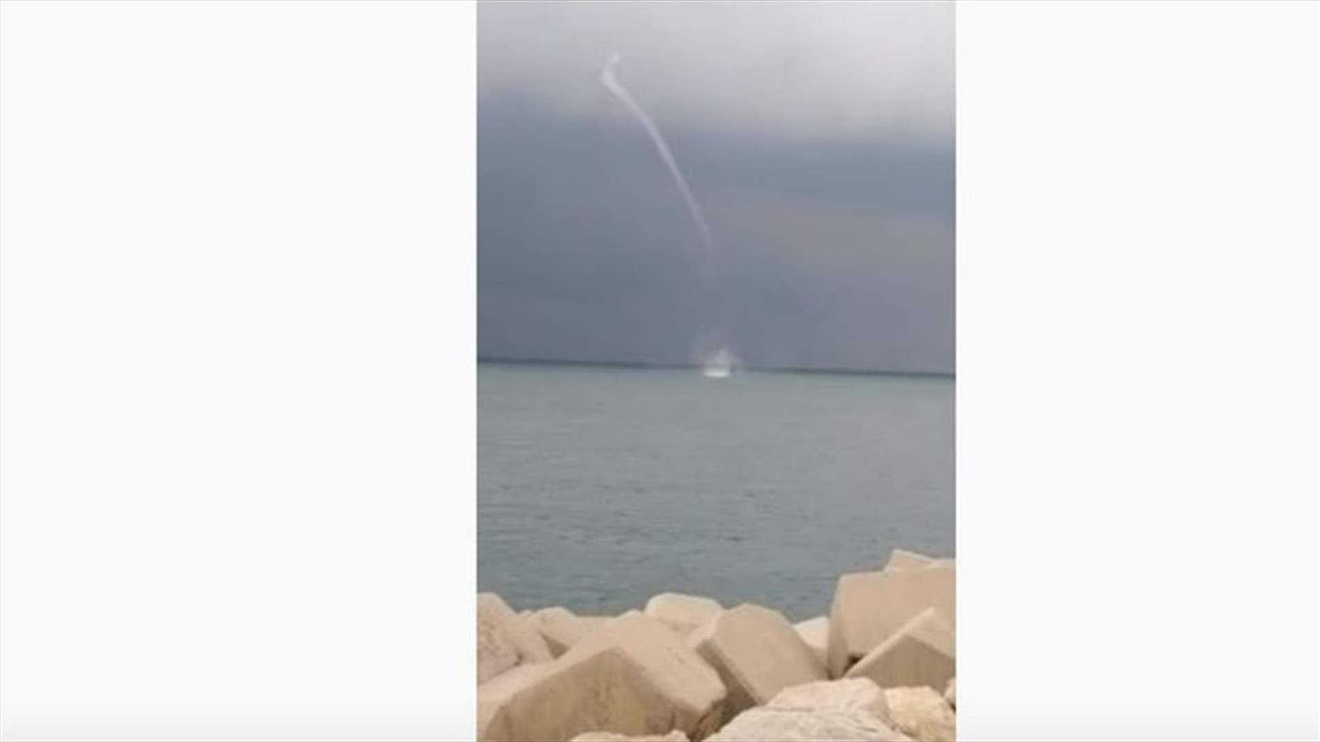 تنين البحر مقابل الضبية (فيديو)