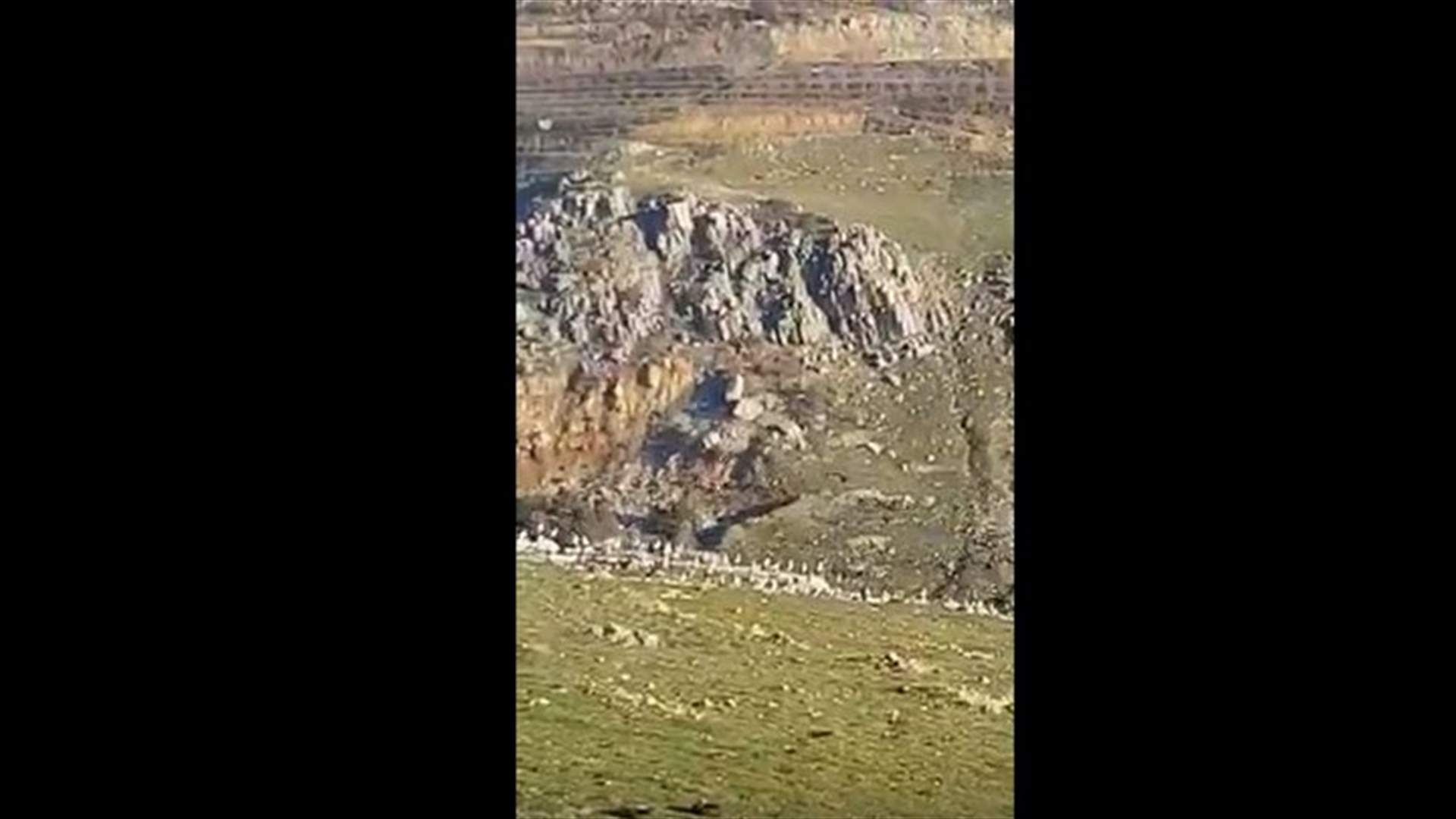 في مشهد مميز... أسراب من طيور اللقلاق في ضهر البيدر