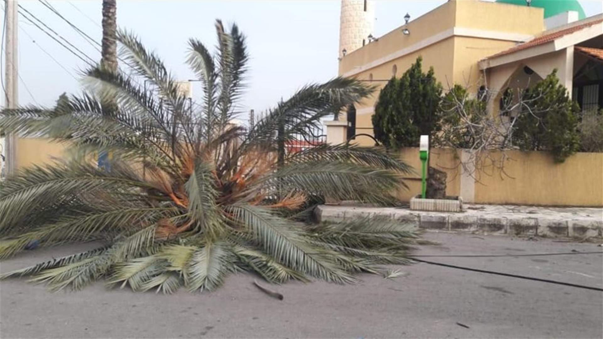 الرياح القوية تتسبب بإقتلاع الأشجار وسقوط اللوحات الإعلانية (صوَر)