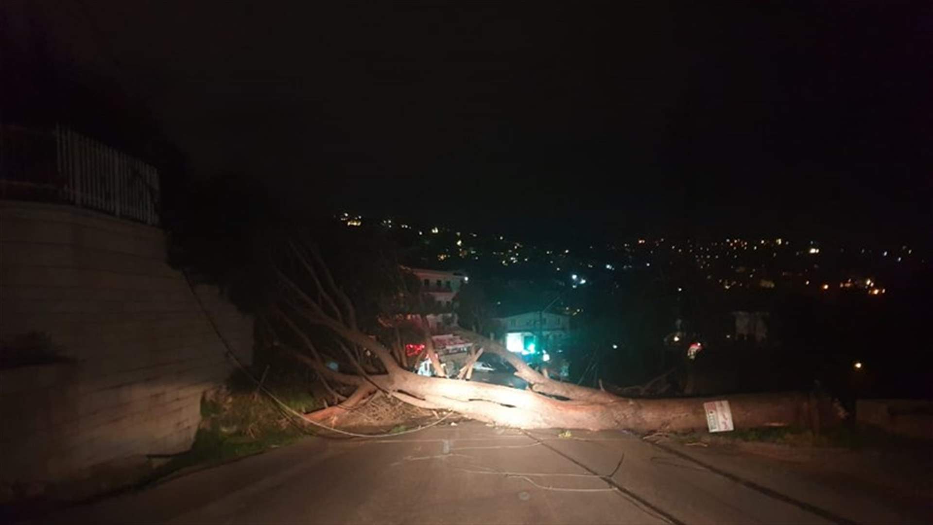 سقوط شجرة على طريق عام بعبدات - برمانا (صورة)