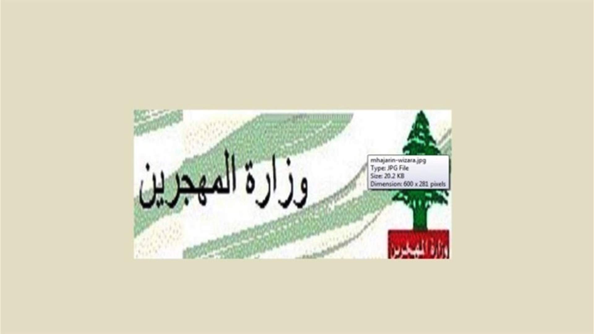 وزارة المهجرين تعلن تعليق برنامج الدفع...
