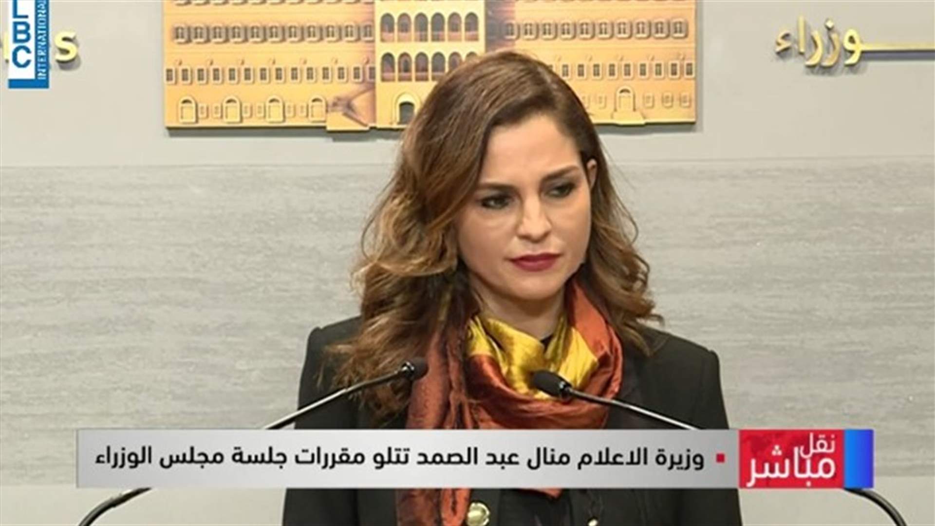 Minister Abdel Samad after Cabinet session: A special Coronavirus donations fund will be created