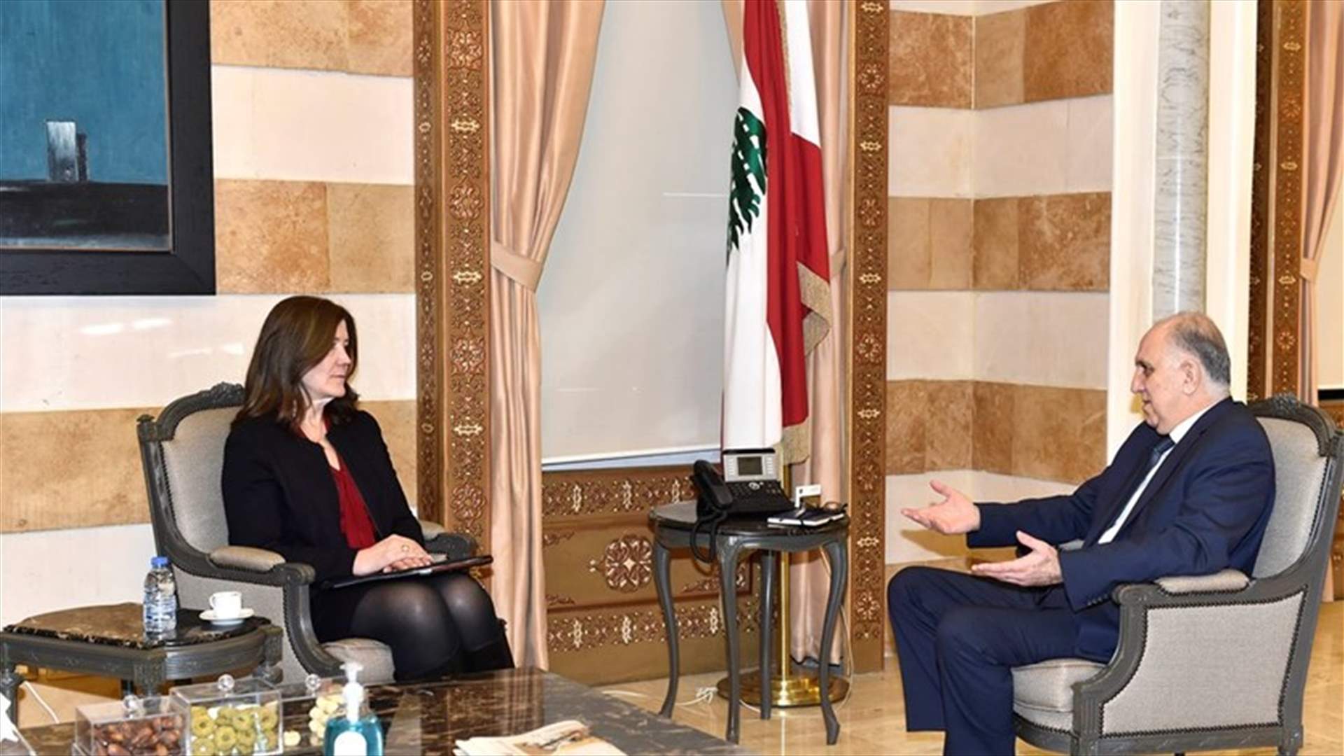فهمي عرض واقع الازمة مع السفيرة الاميركية