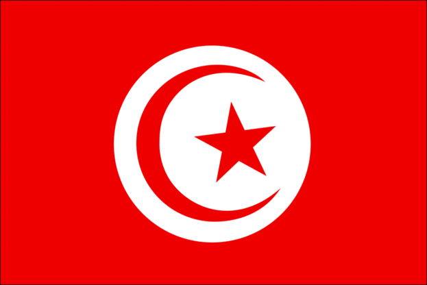 Tunisia imposes 12-hour daily curfew to counter coronavirus