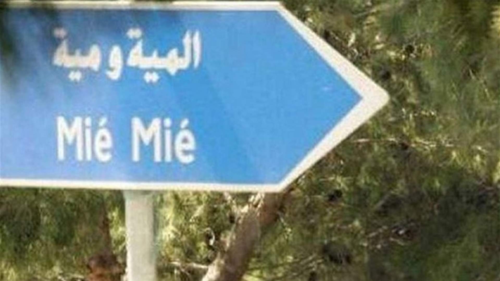 مقتل انطوان حايك داخل محله في المية ومية...