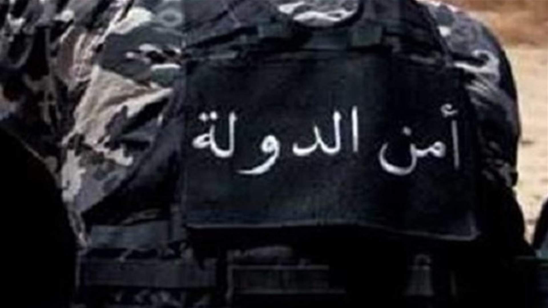 دوريات لأمن الدولة في ببنين العبدة... وانذارات بحق مخالفين في سوق السمك