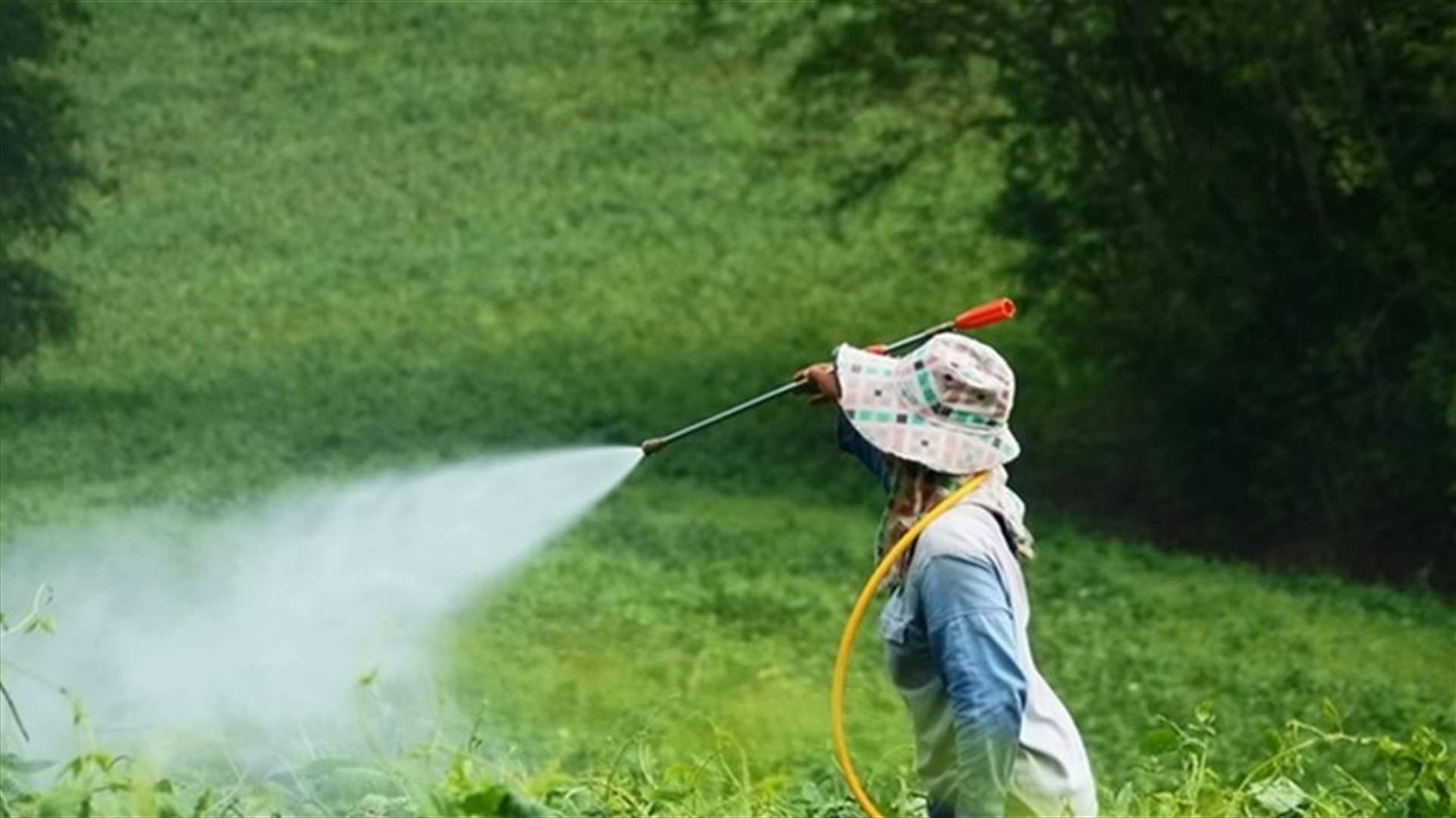 مصلحة الابحاث العلمية: استعمال المبيدات الزراعية للتعقيم لا فعالية له