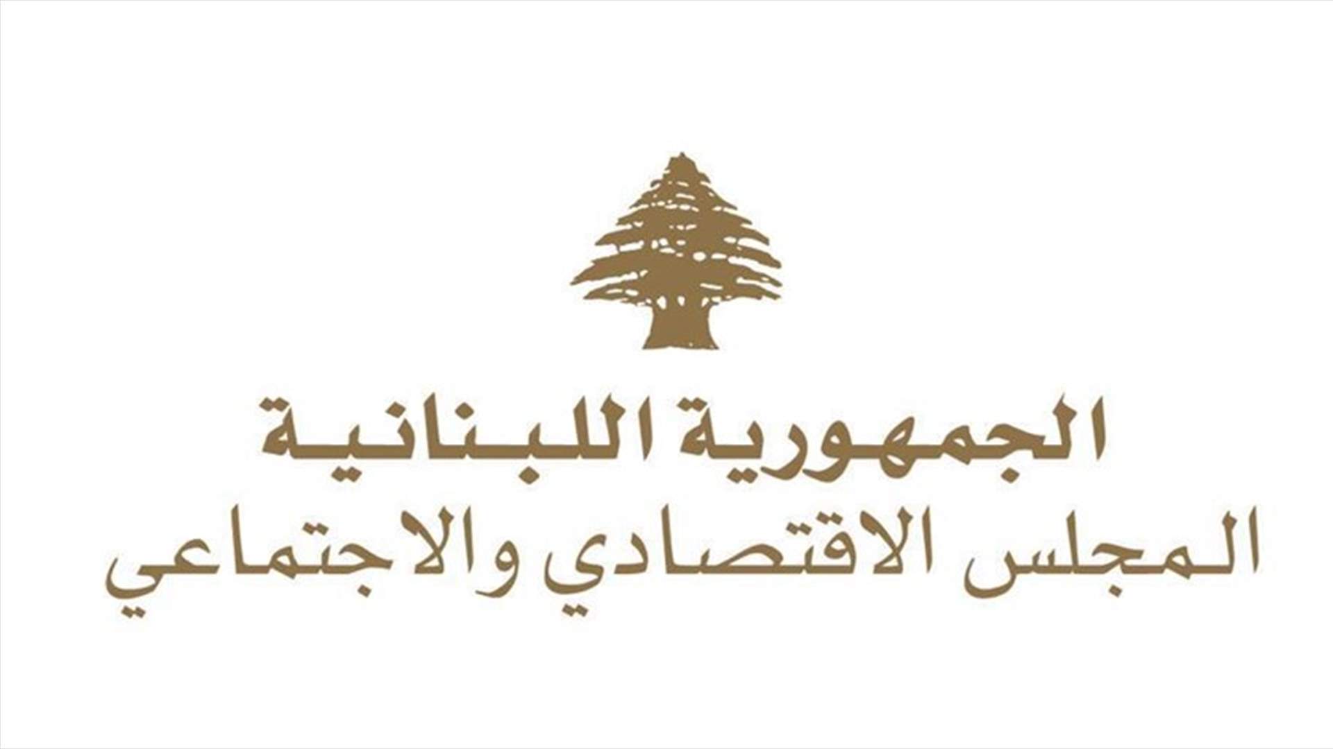المجلس الاقتصادي والاجتماعي: لتقديم مساعدات مالية مباشرة بشكل عاجل للأسر الأكثر فقراً