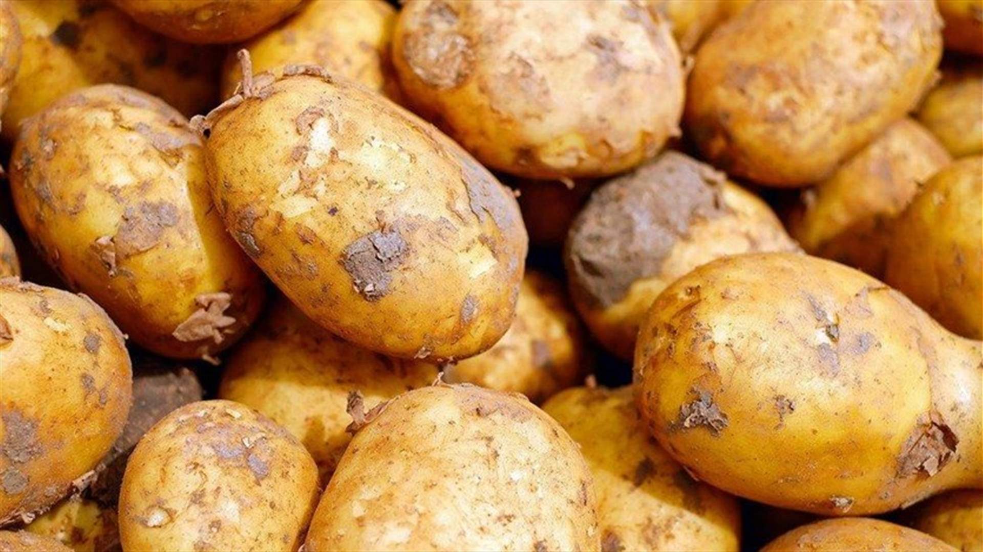 مزارعة فائزة باليانصيب توزّع البطاطا مجاناً... وسط وباء كورونا!