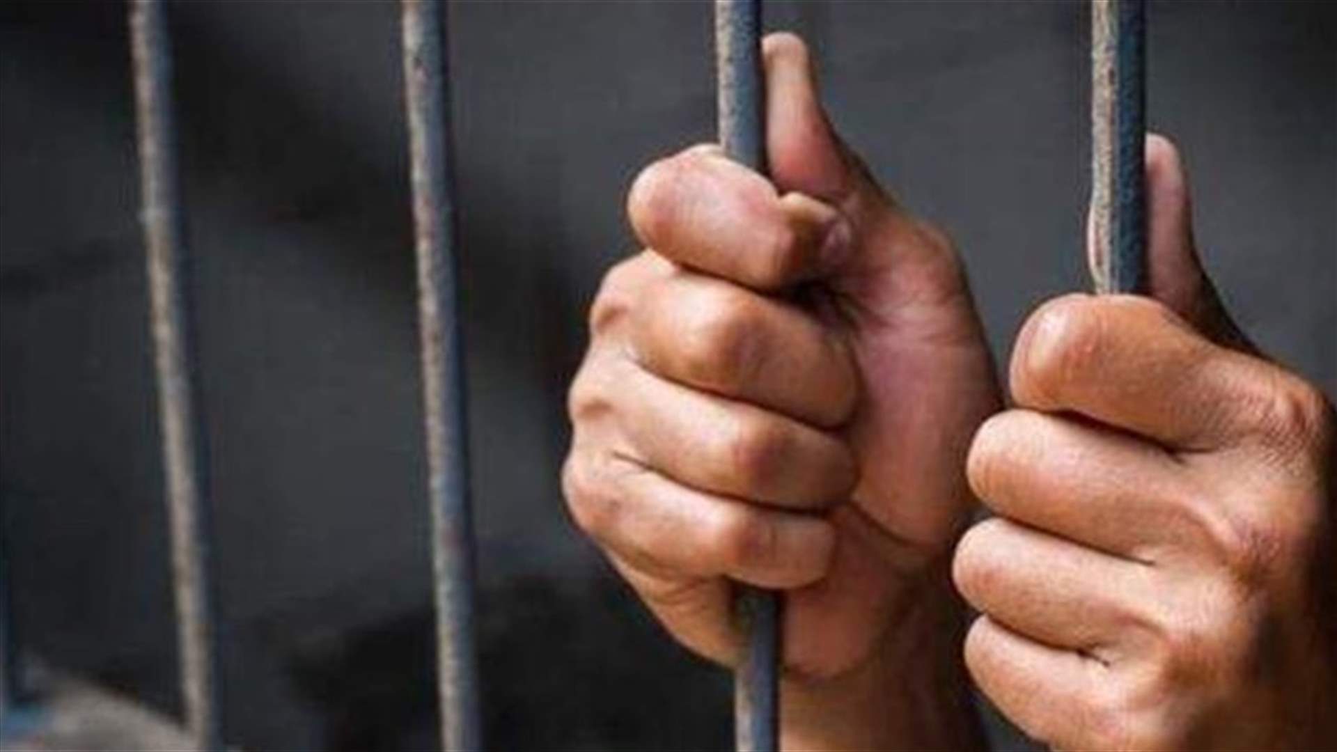 توقيف عصابة للتفتيش والتنقيب عن الآثار والذهب في الضنية