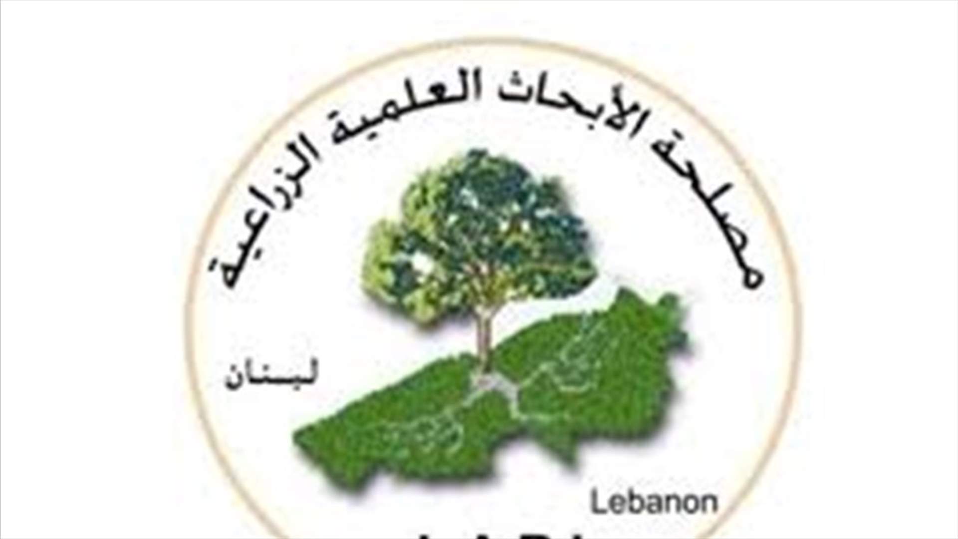 مصلحة الابحاث العلمية تنبّه: غبار في الاجواء مع ارتفاع في درجات الحرارة