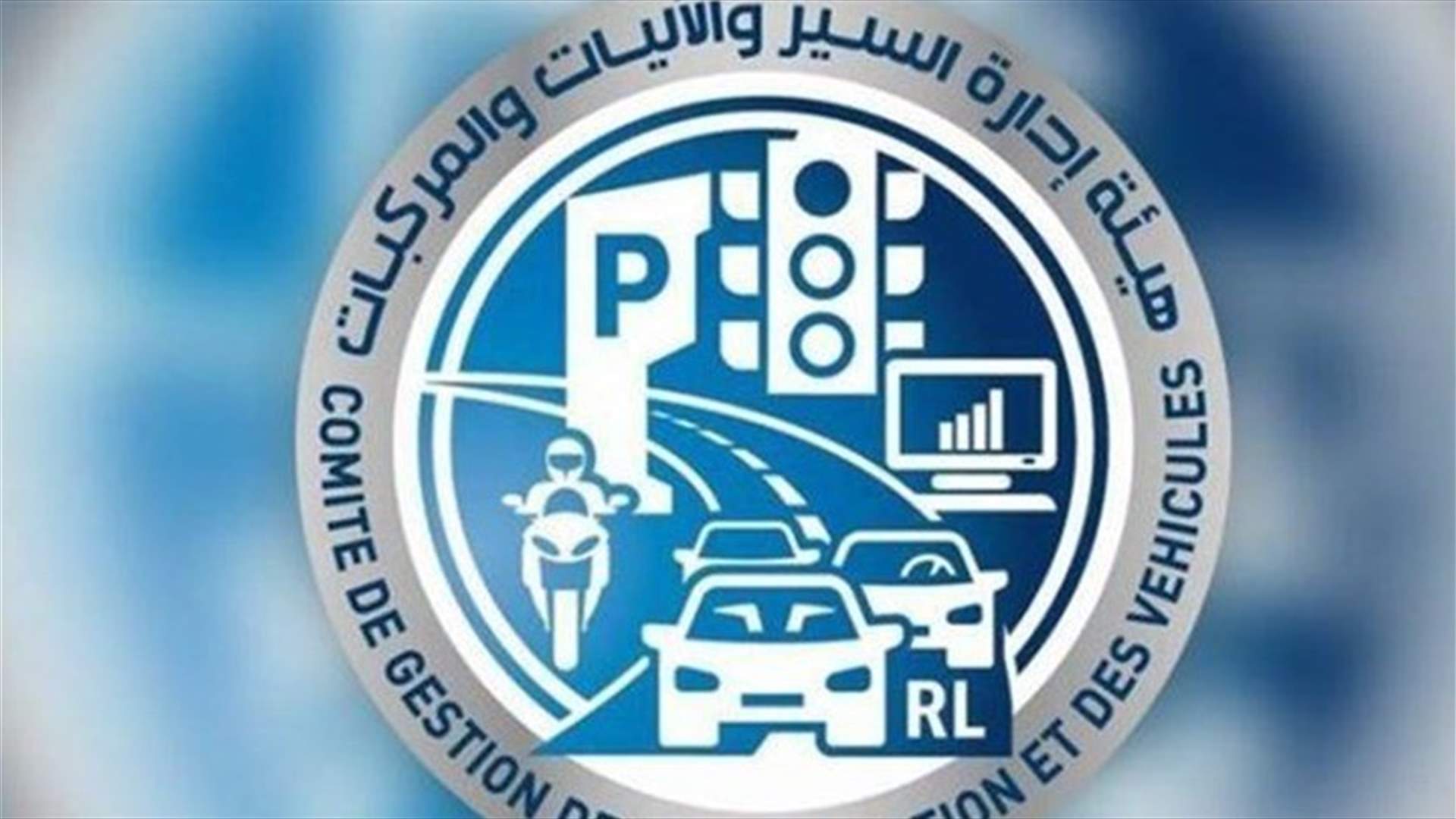 "عجل" شارد على طريق الانفاق...
