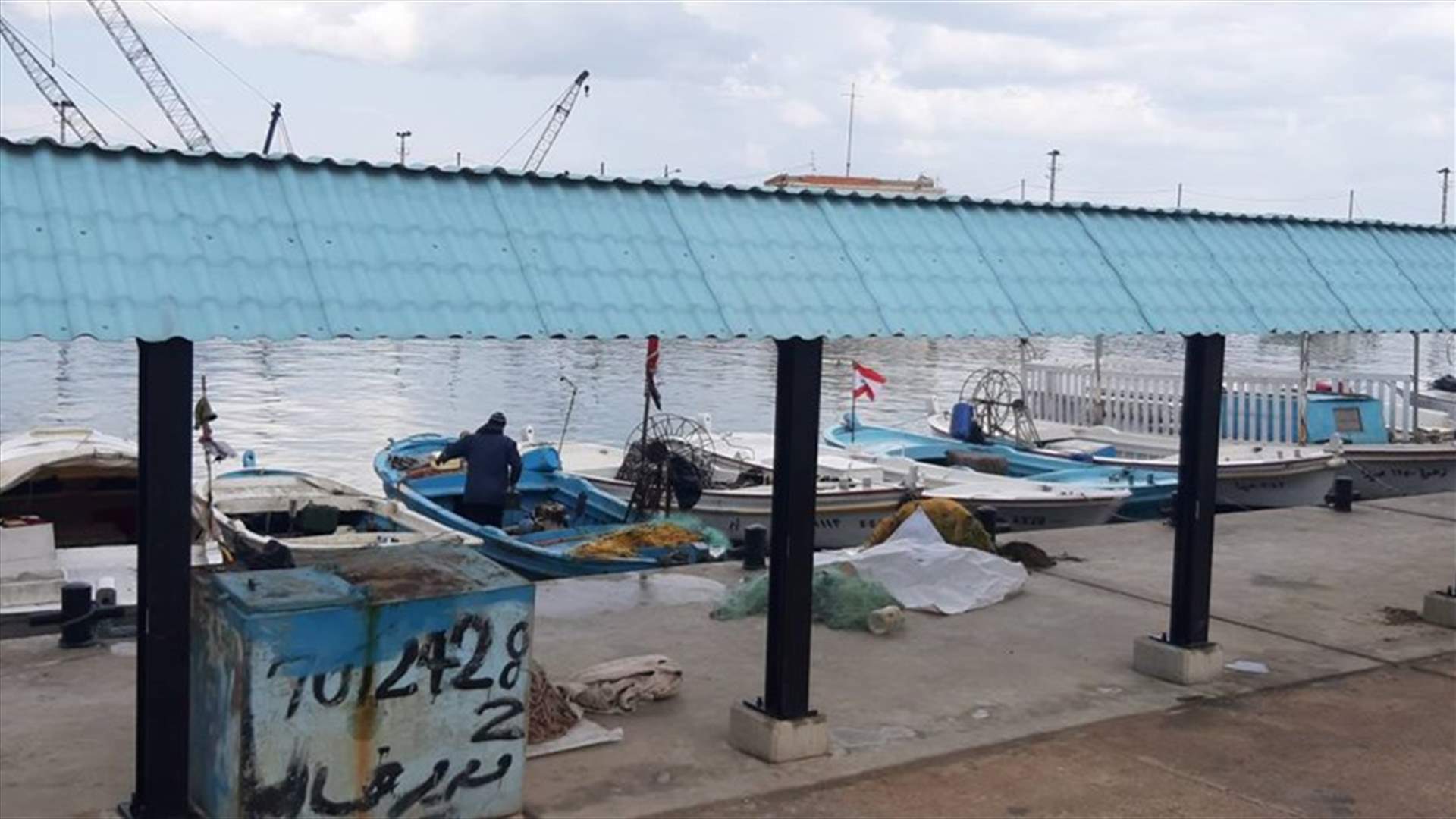 إقفال المزاد العلني في سوق السمك في صيدا