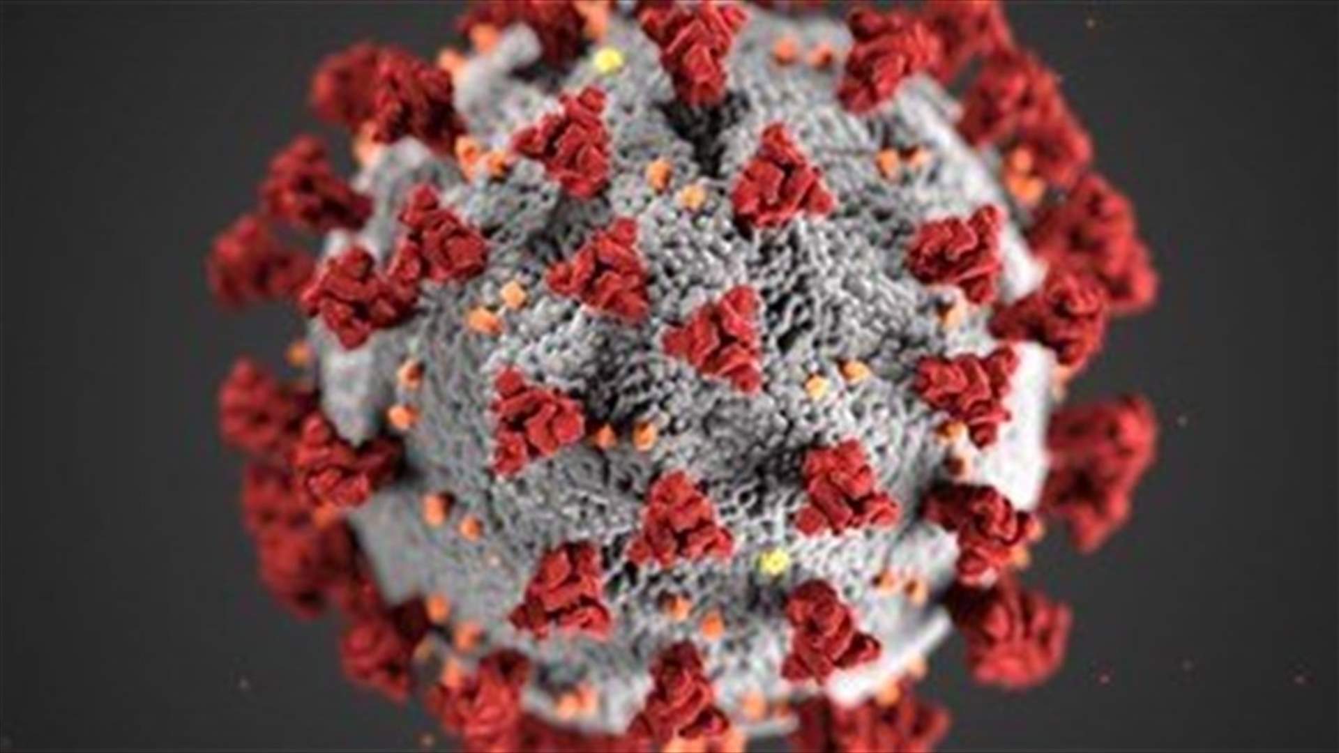The daily report on coronavirus in Lebanon