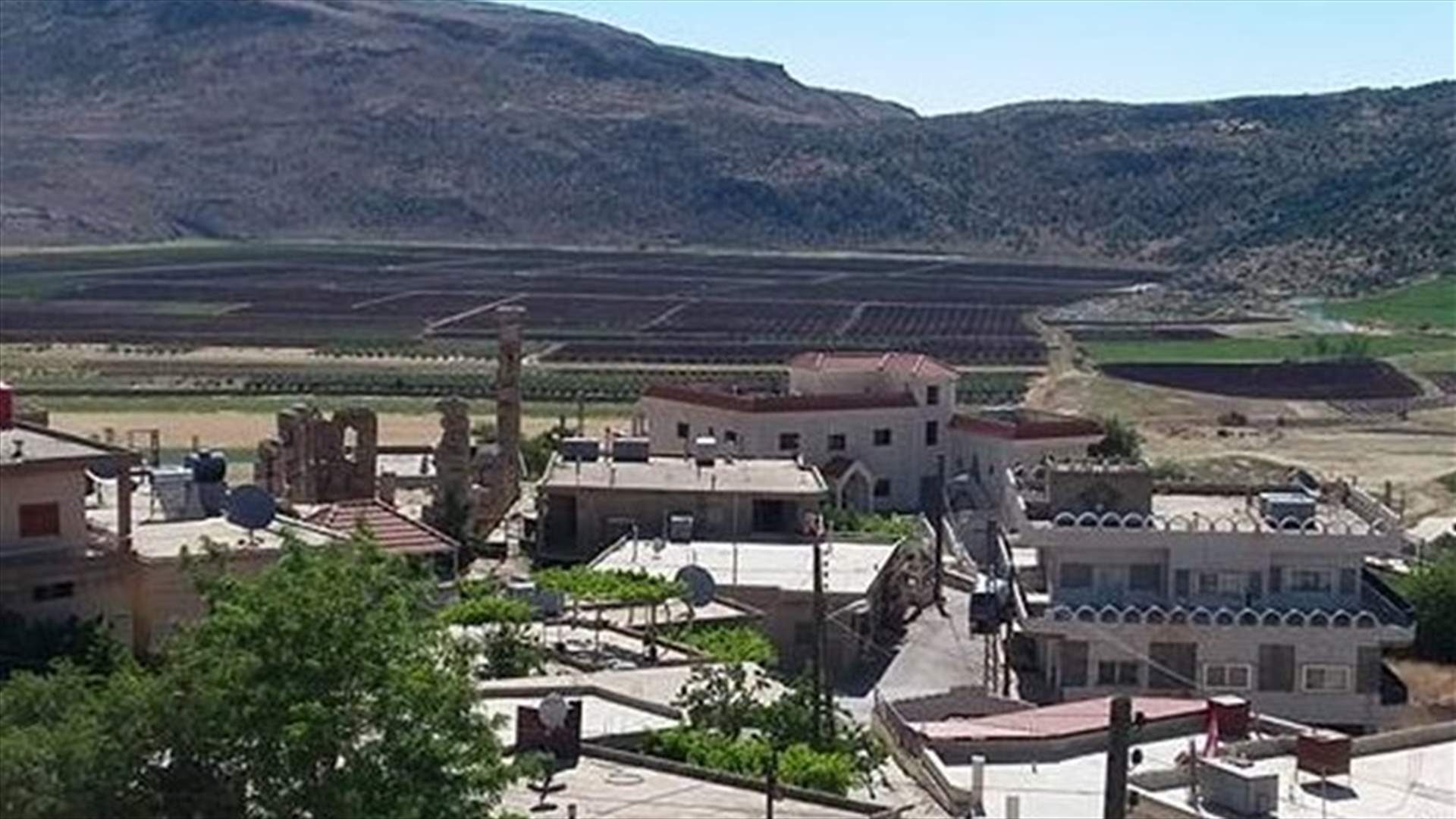بلدية دير العشاير نفت تسميم الكلاب الشاردة