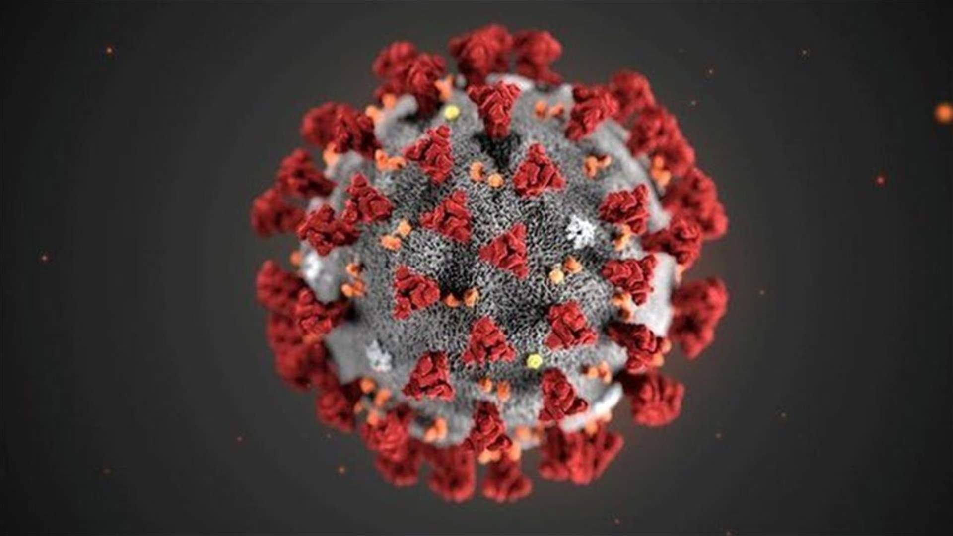 Ministry of Health: 9 new Coronavirus cases reported