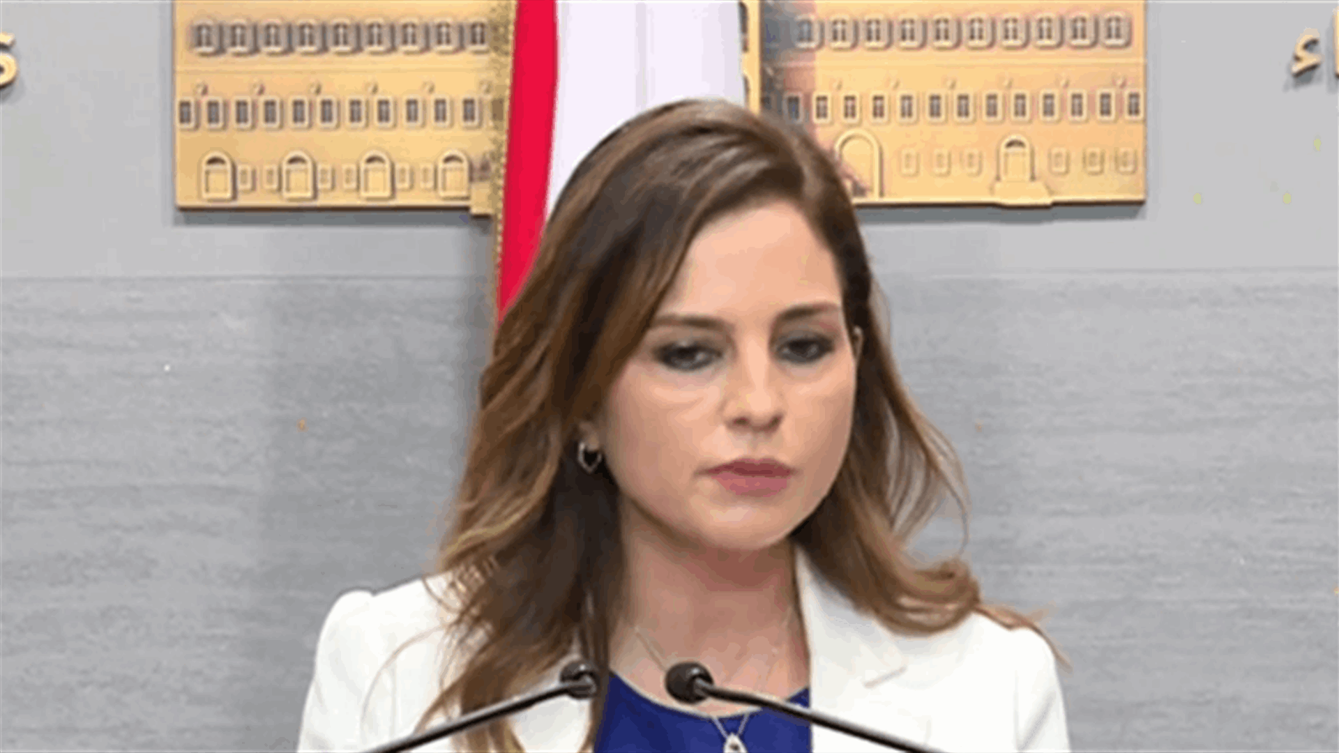 عبدالصمد نقلا عن دياب: نحن أمام خيار استمرار رحلات إجلاء اللبنانيين أو تجميدها موقتاً