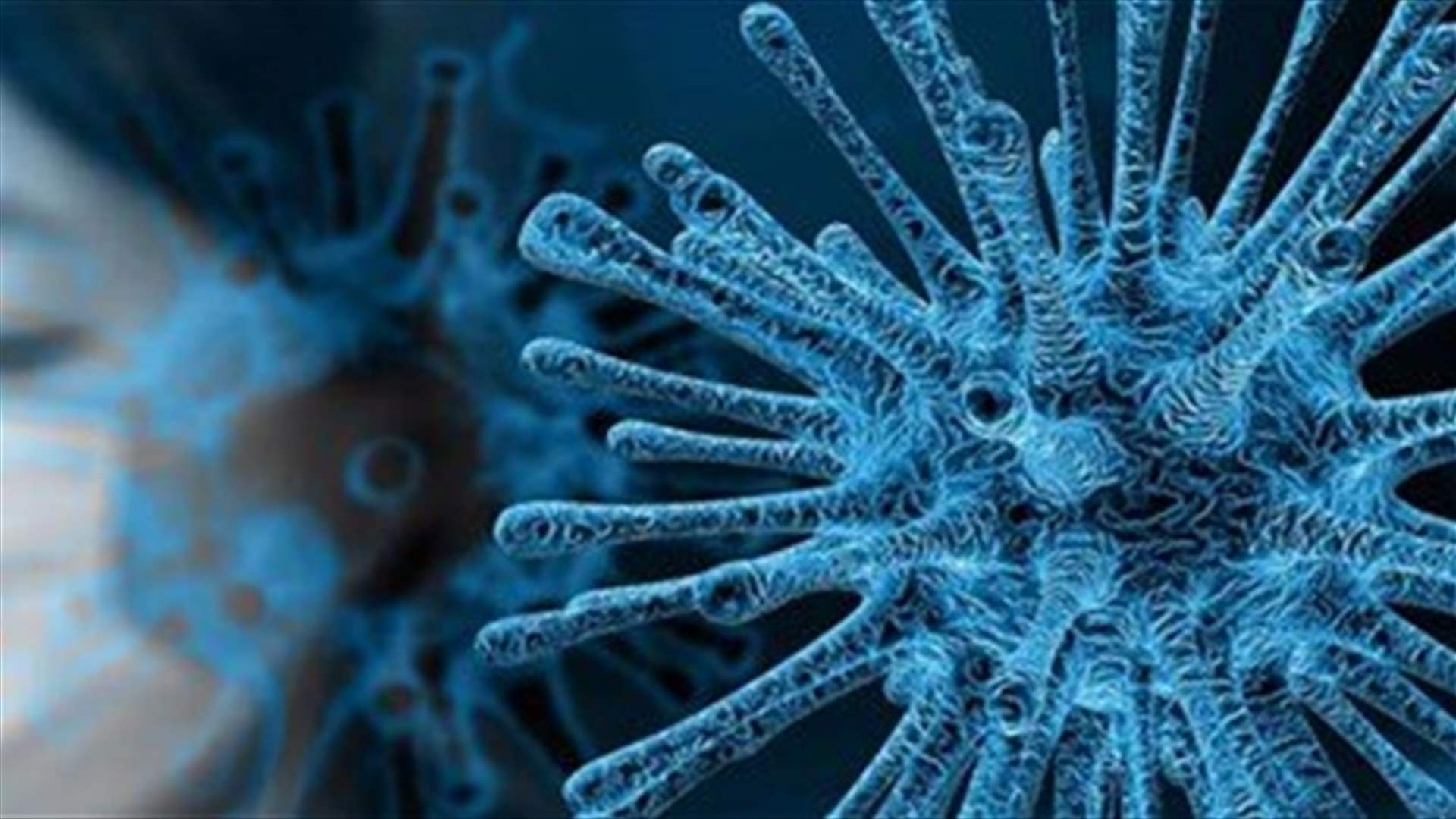 The daily report on coronavirus in Lebanon