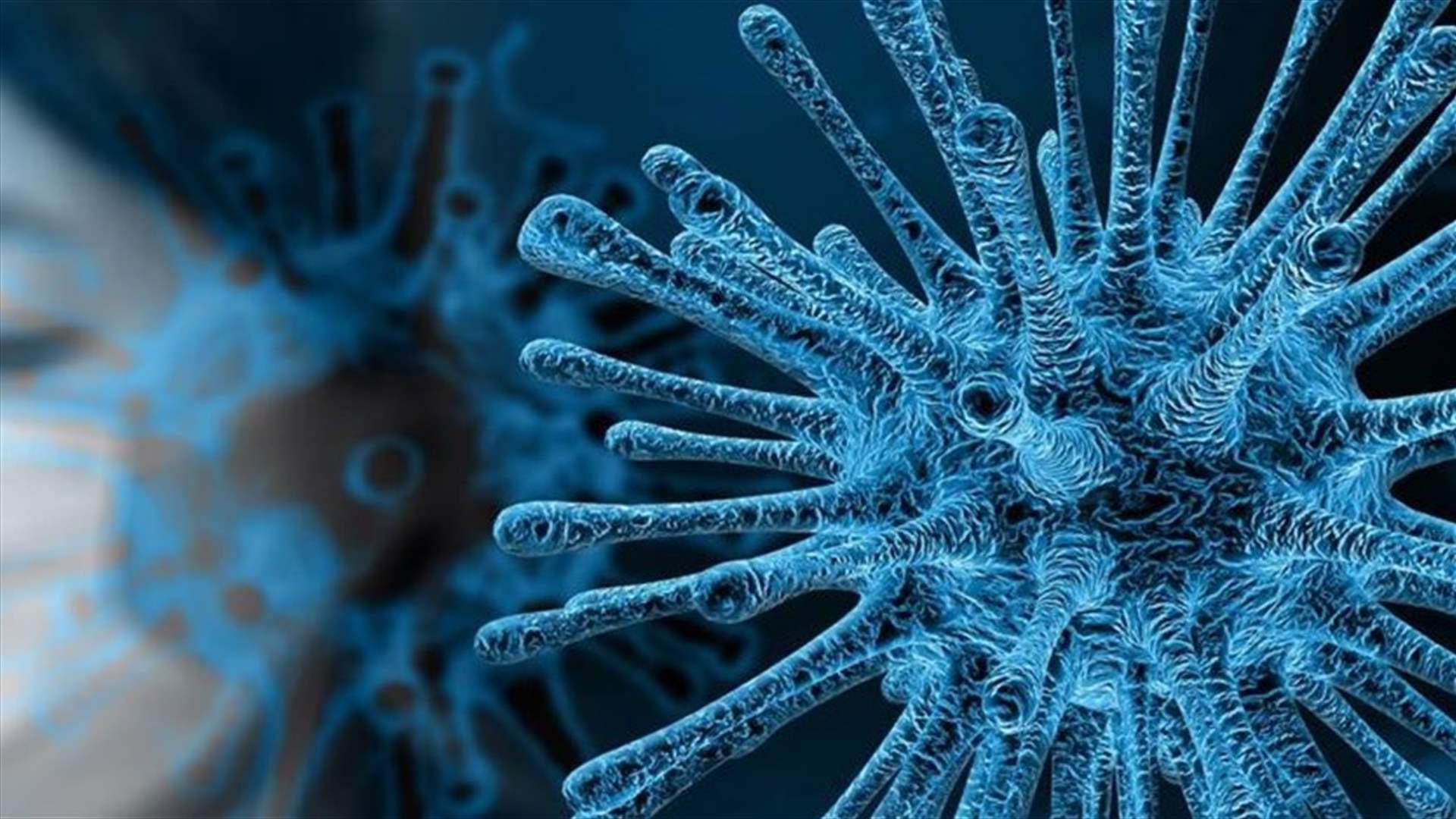 Spanish deaths from coronavirus exceed 19,000